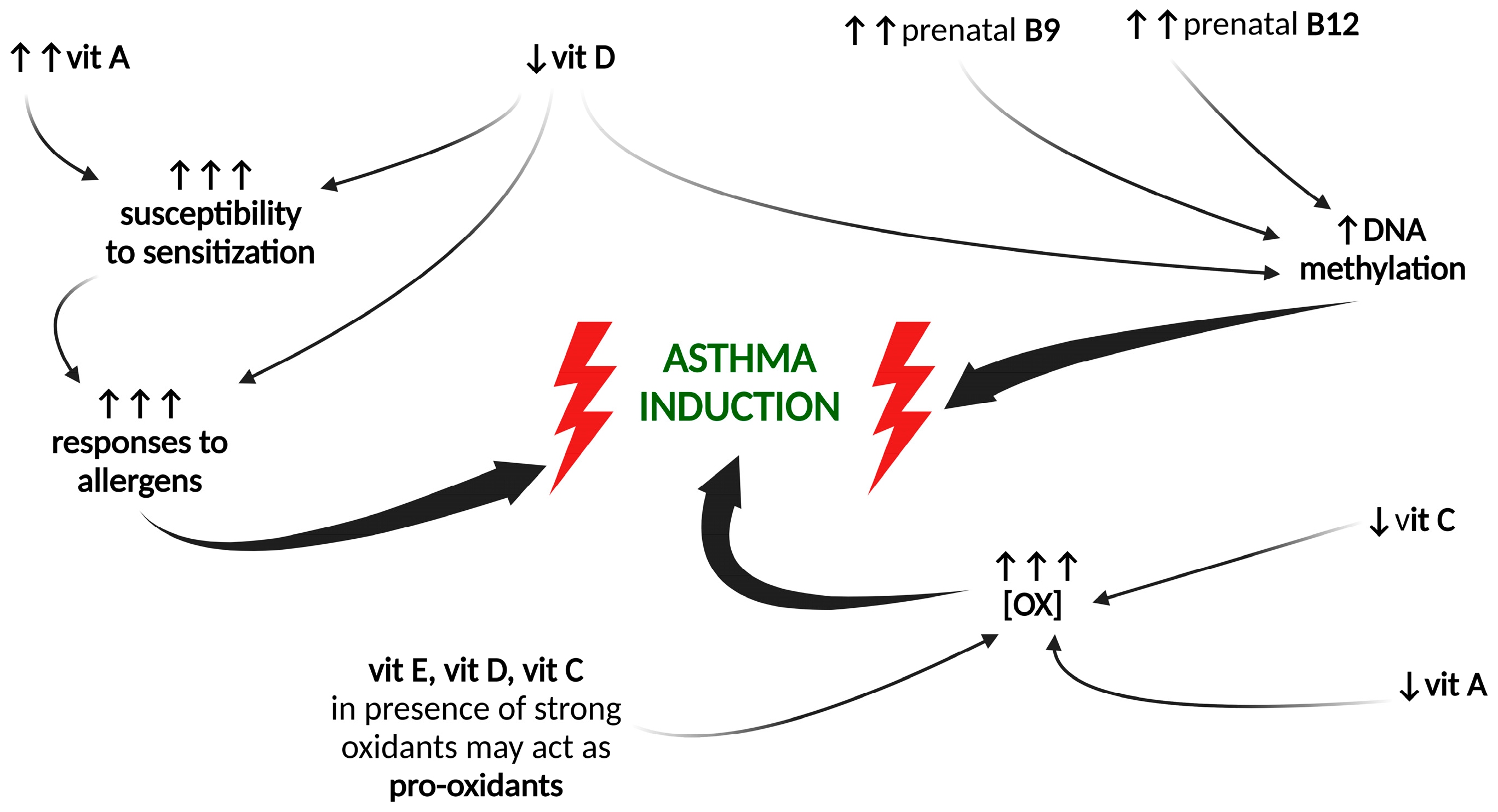 Ijms 24 08574 g001 Ijms 24 08574 g001