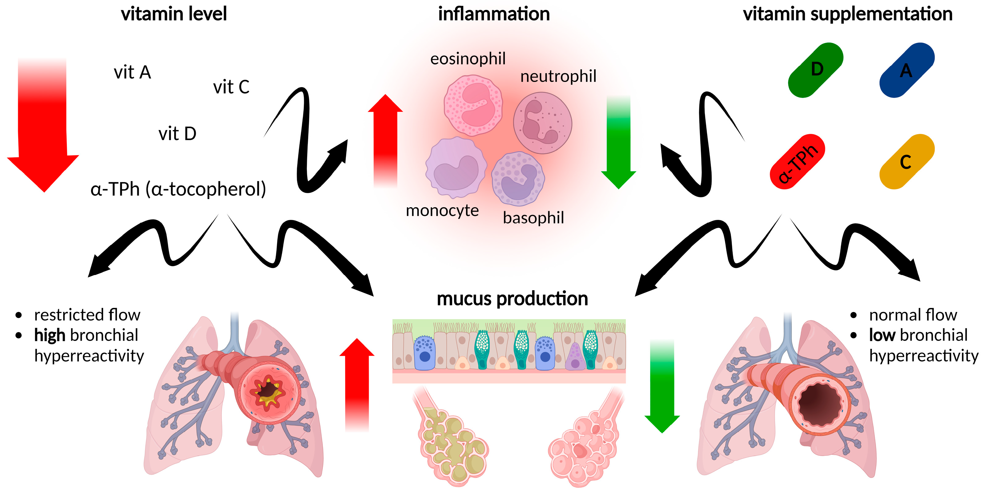 Ijms 24 08574 g003 Ijms 24 08574 g003