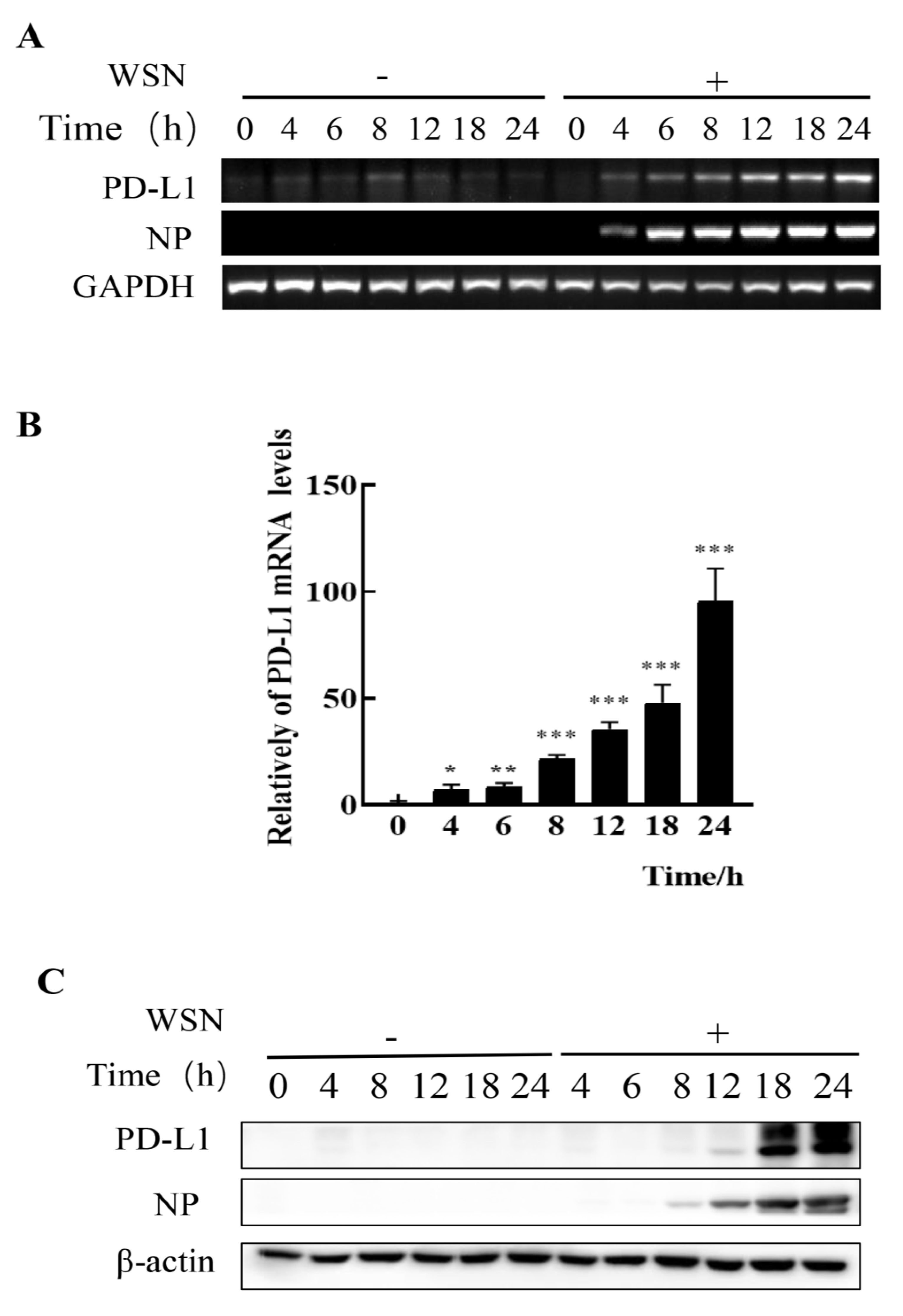 Ijms 24 08586 g001 Ijms 24 08586 g001