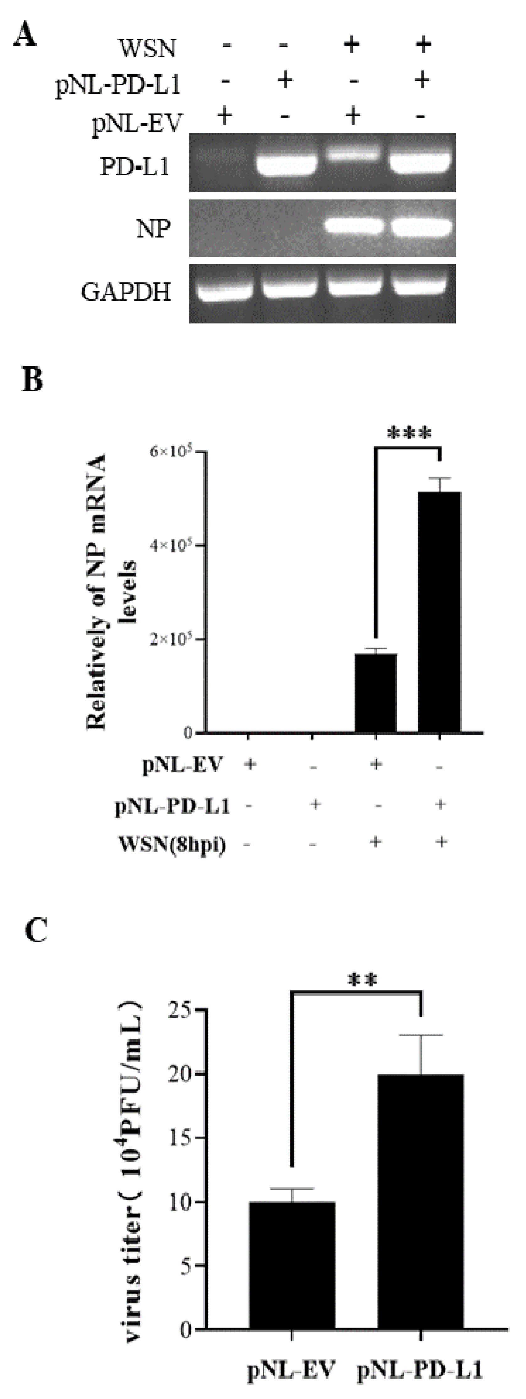 Ijms 24 08586 g003 Ijms 24 08586 g003