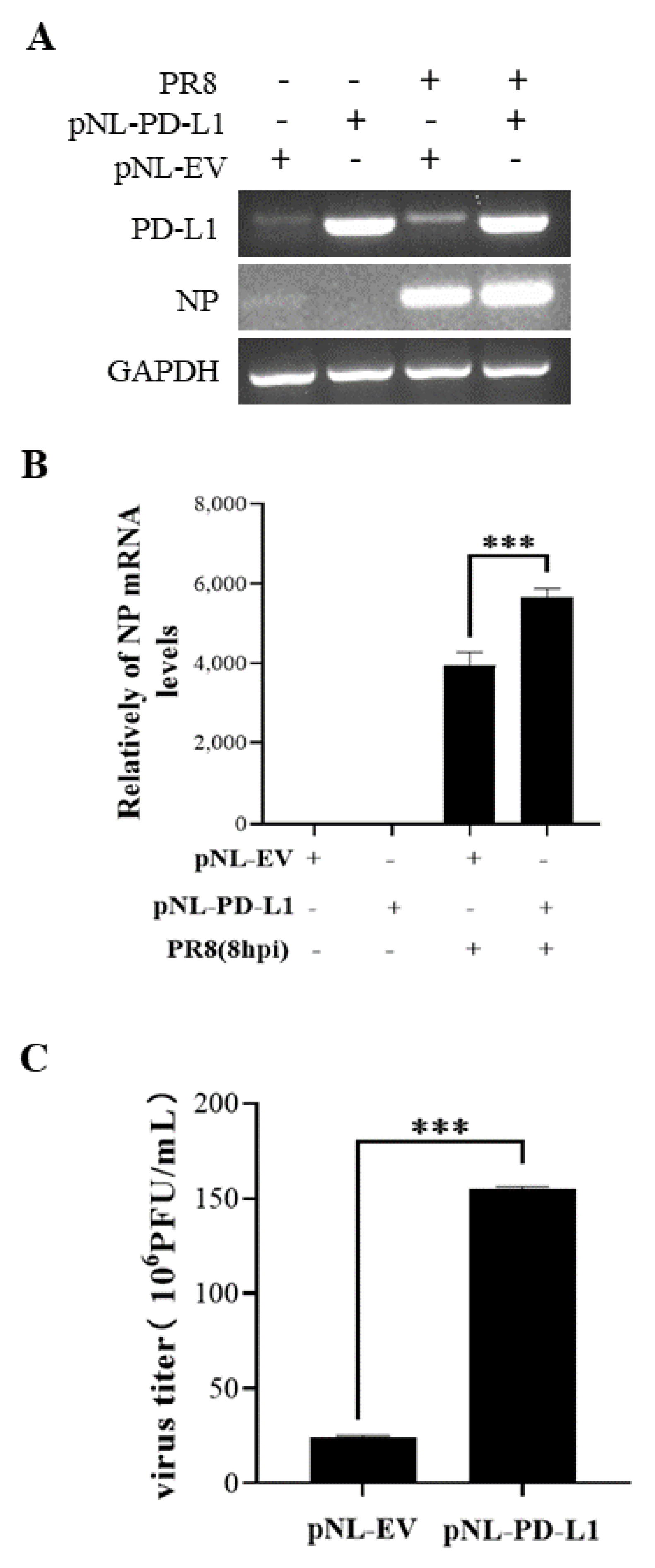 Ijms 24 08586 g004 Ijms 24 08586 g004