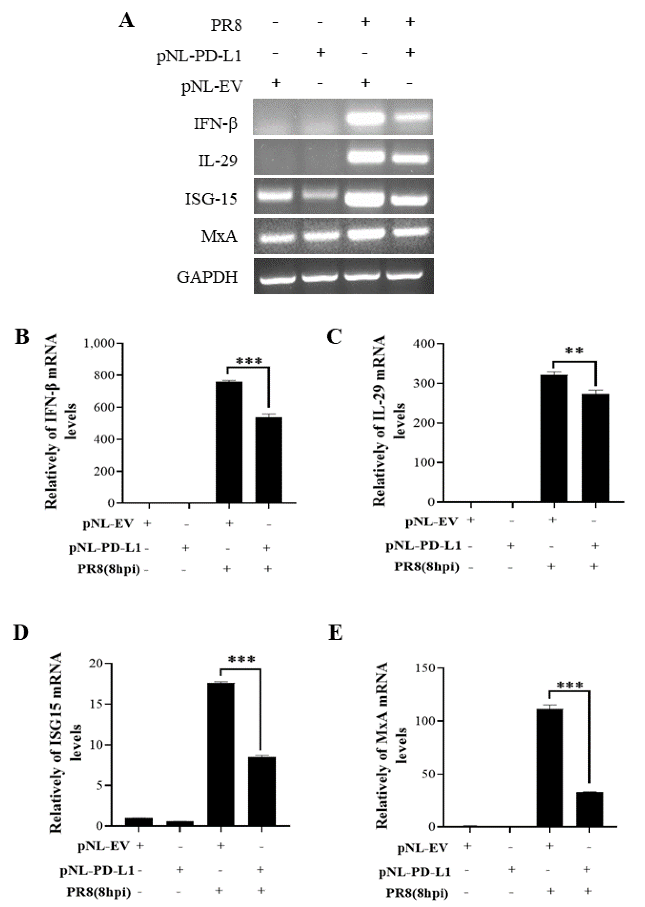 Ijms 24 08586 g006 Ijms 24 08586 g006