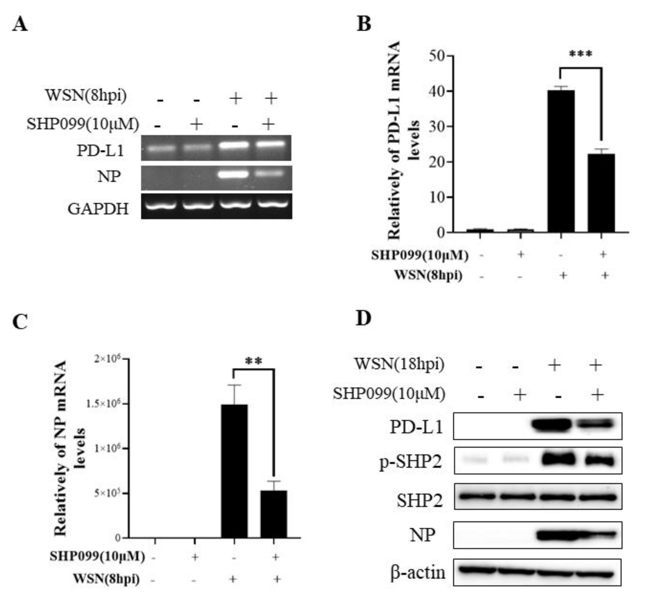Ijms 24 08586 g007 Ijms 24 08586 g007
