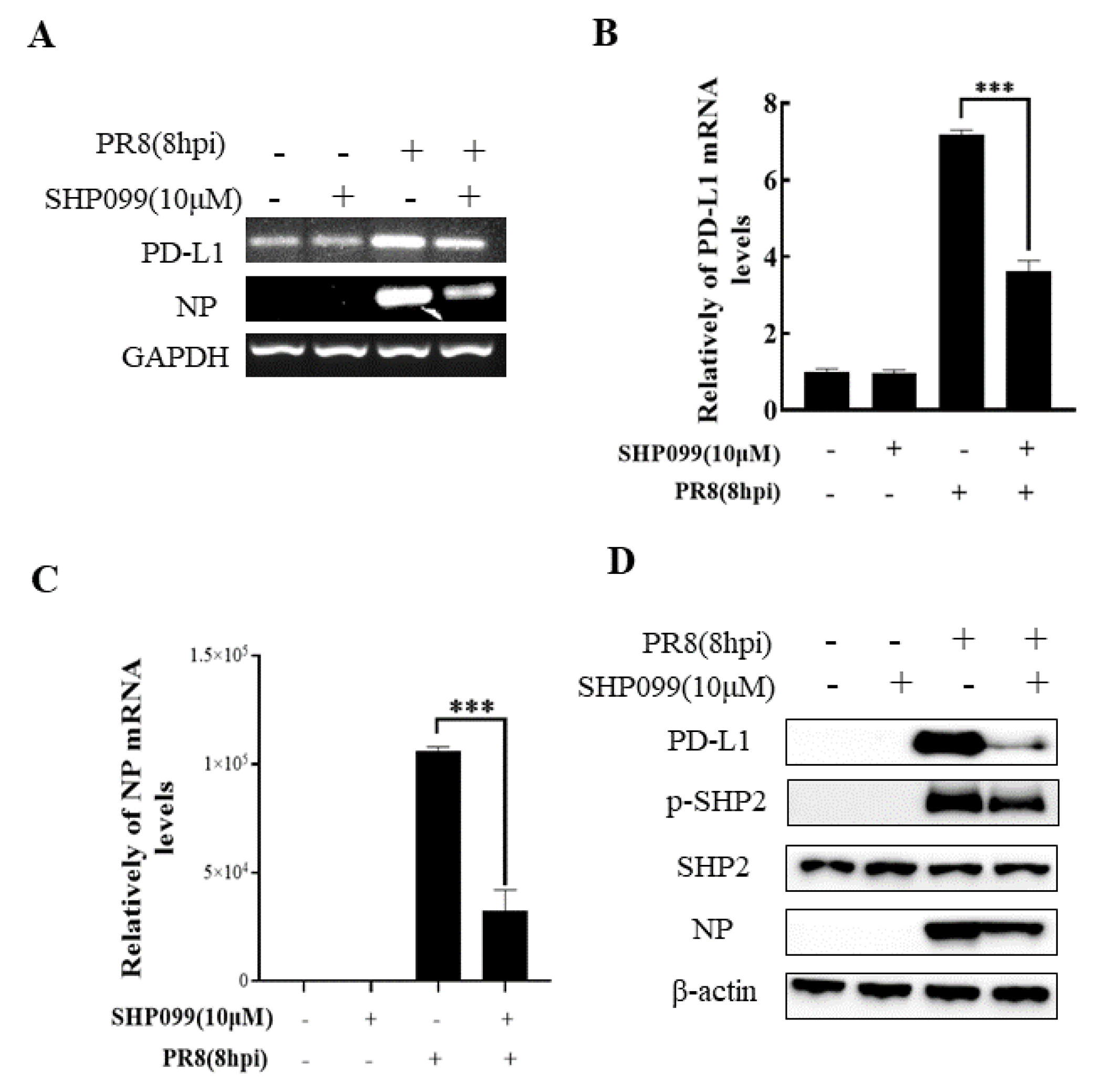 Ijms 24 08586 g008 Ijms 24 08586 g008