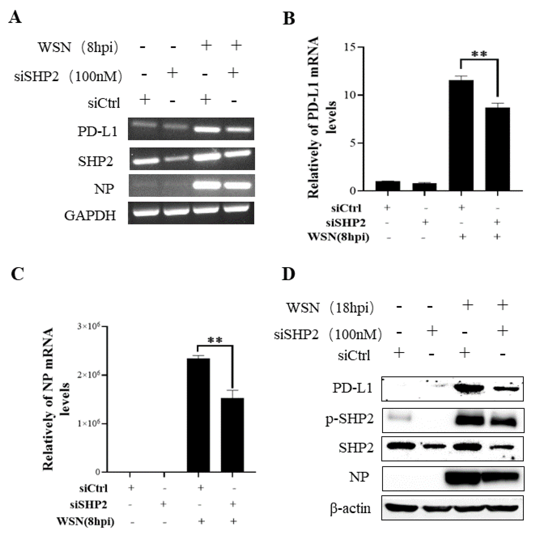 Ijms 24 08586 g009 Ijms 24 08586 g009