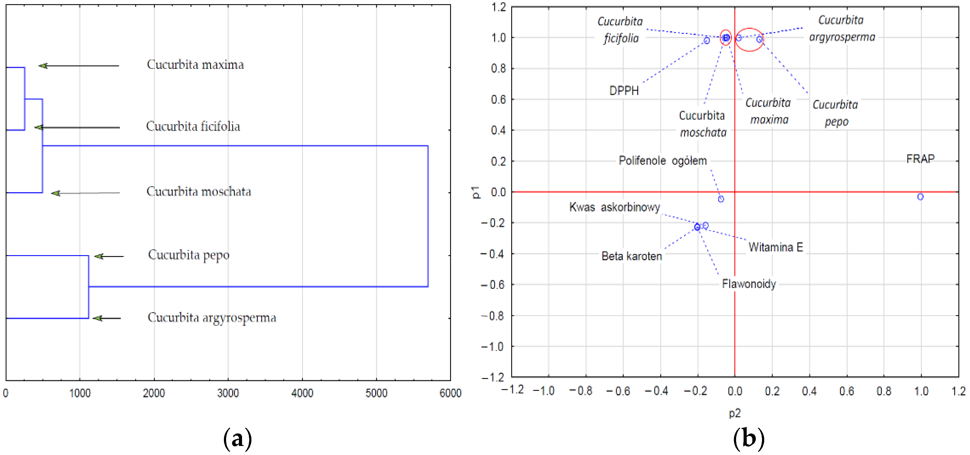 Ijms 24 08621 g001 Ijms 24 08621 g001