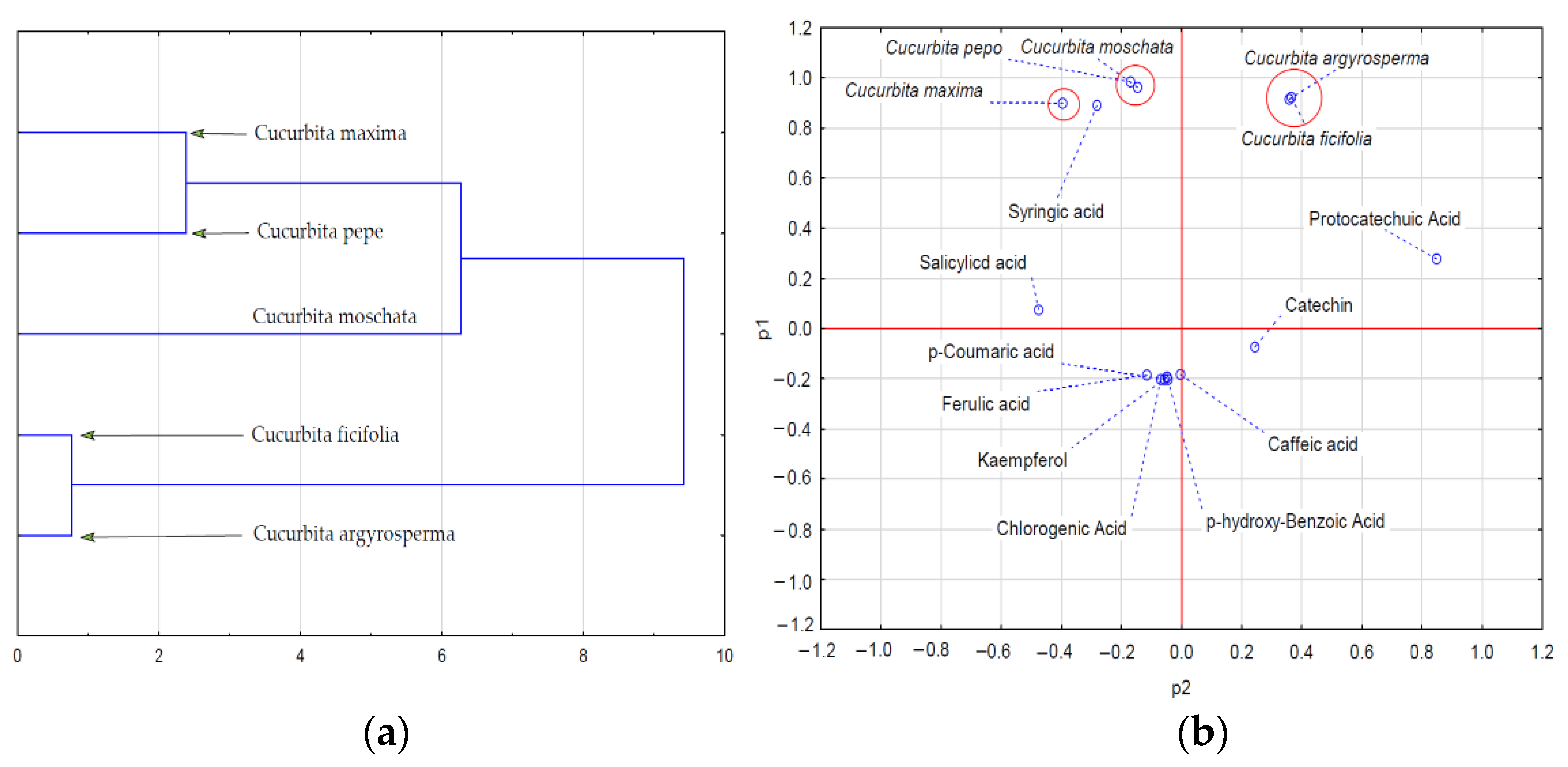 Ijms 24 08621 g002 Ijms 24 08621 g002