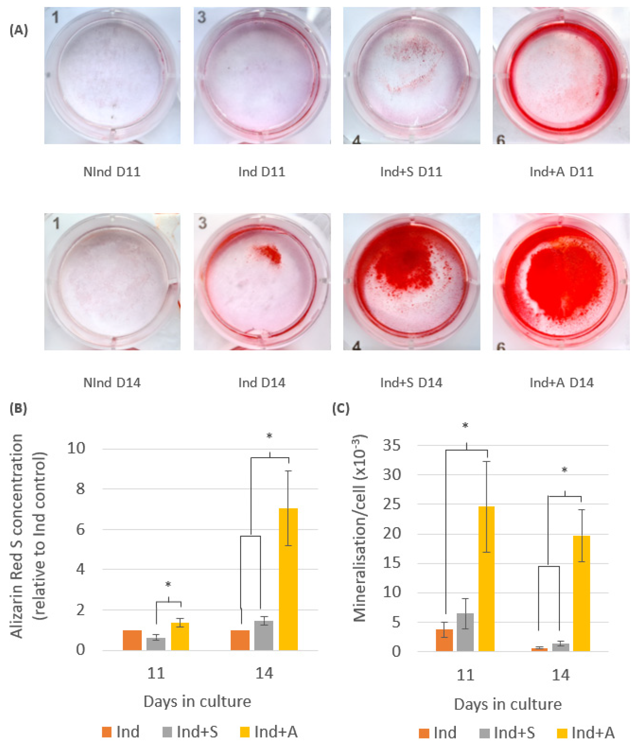 Ijms 24 08631 g002 Ijms 24 08631 g002