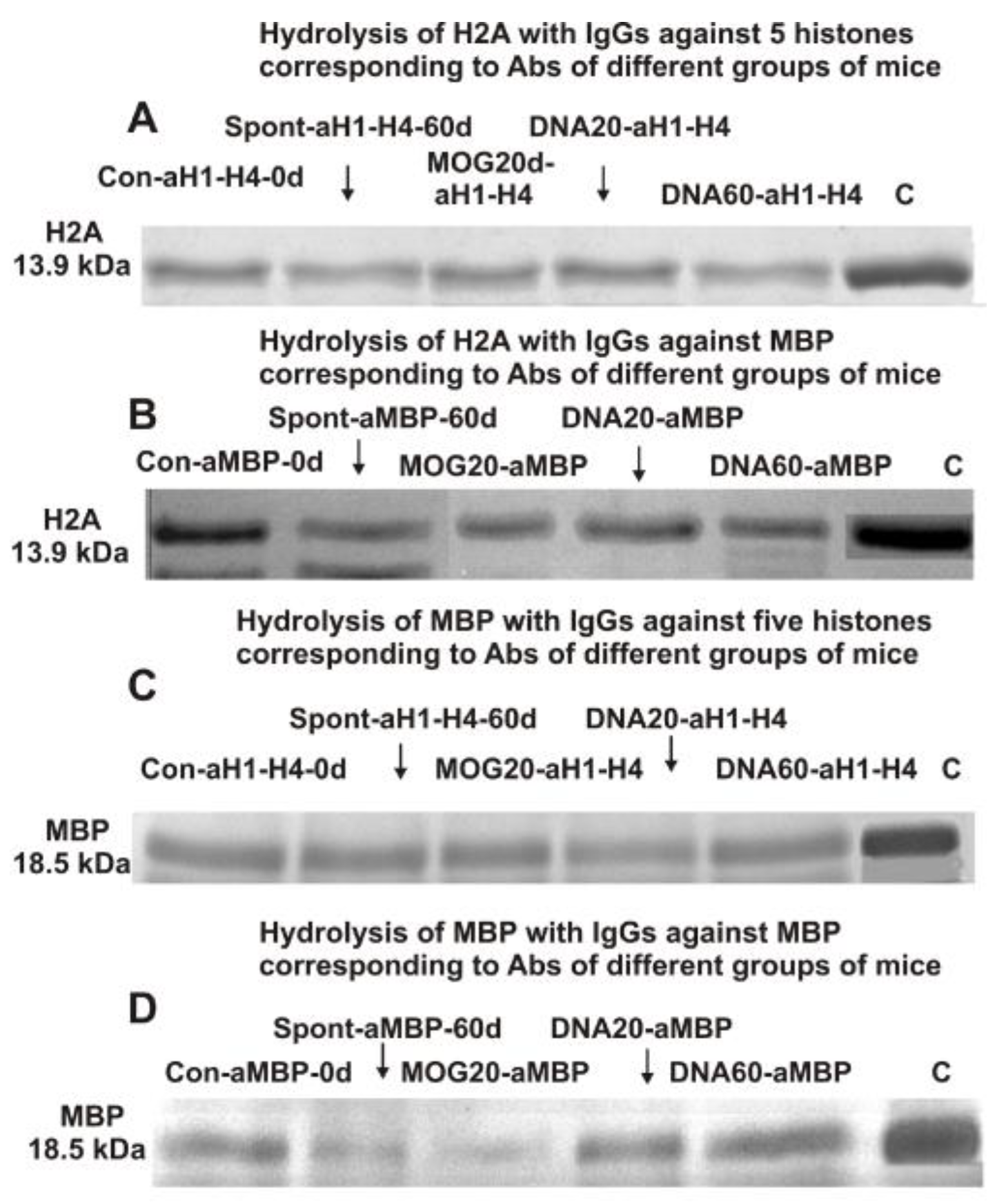 Ijms 24 08636 g001 Ijms 24 08636 g001