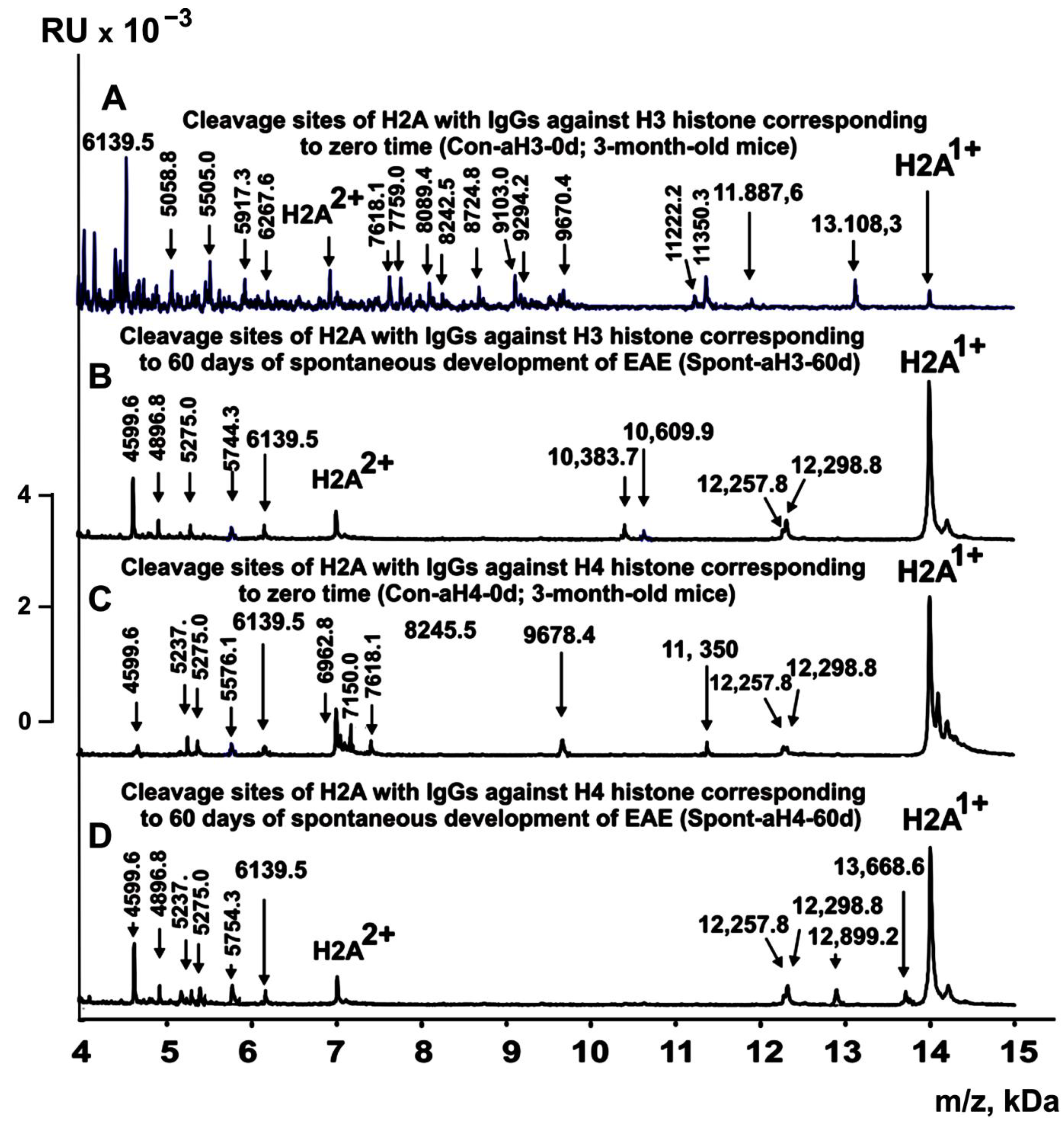 Ijms 24 08636 g003 Ijms 24 08636 g003