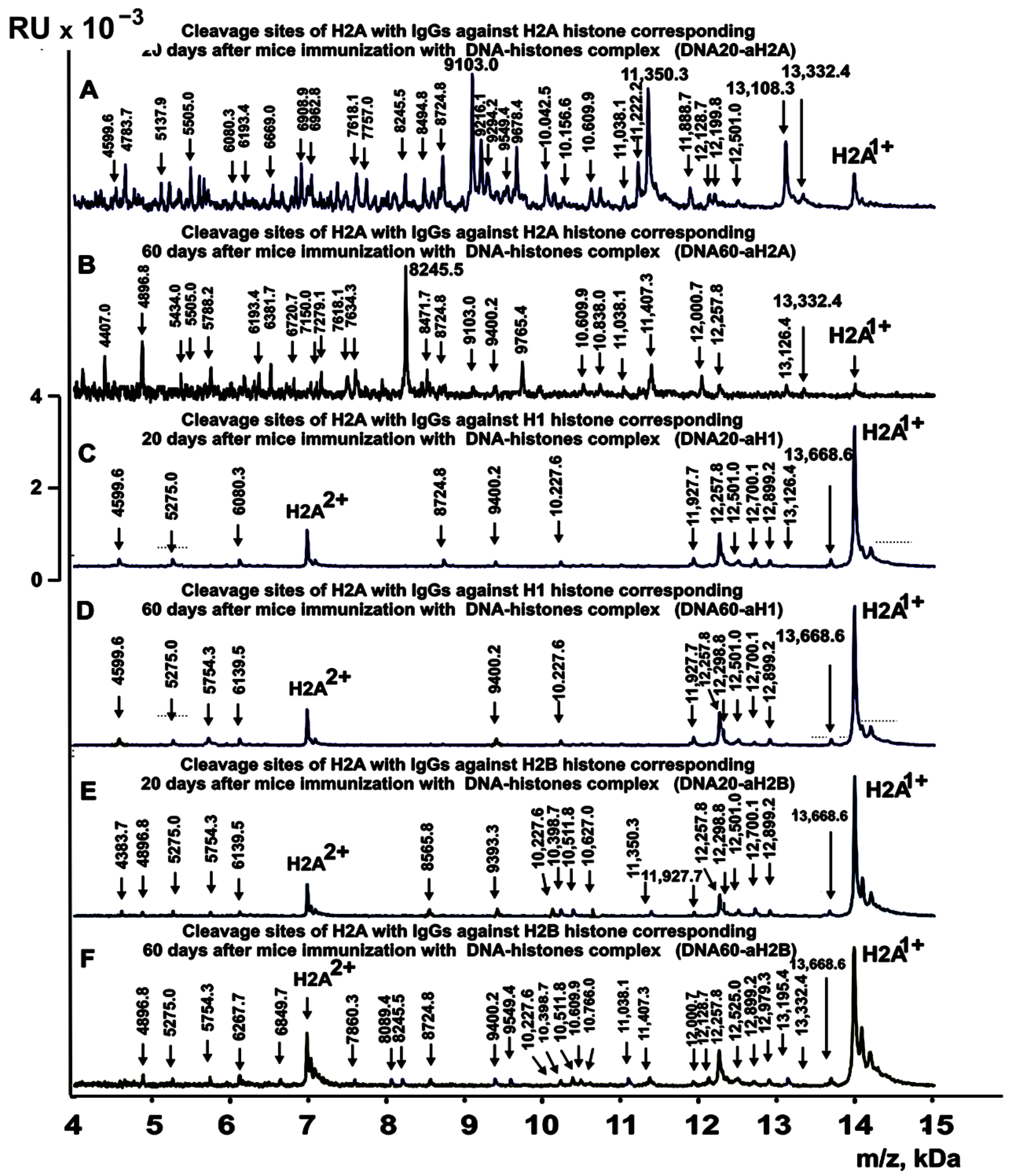 Ijms 24 08636 g005 Ijms 24 08636 g005