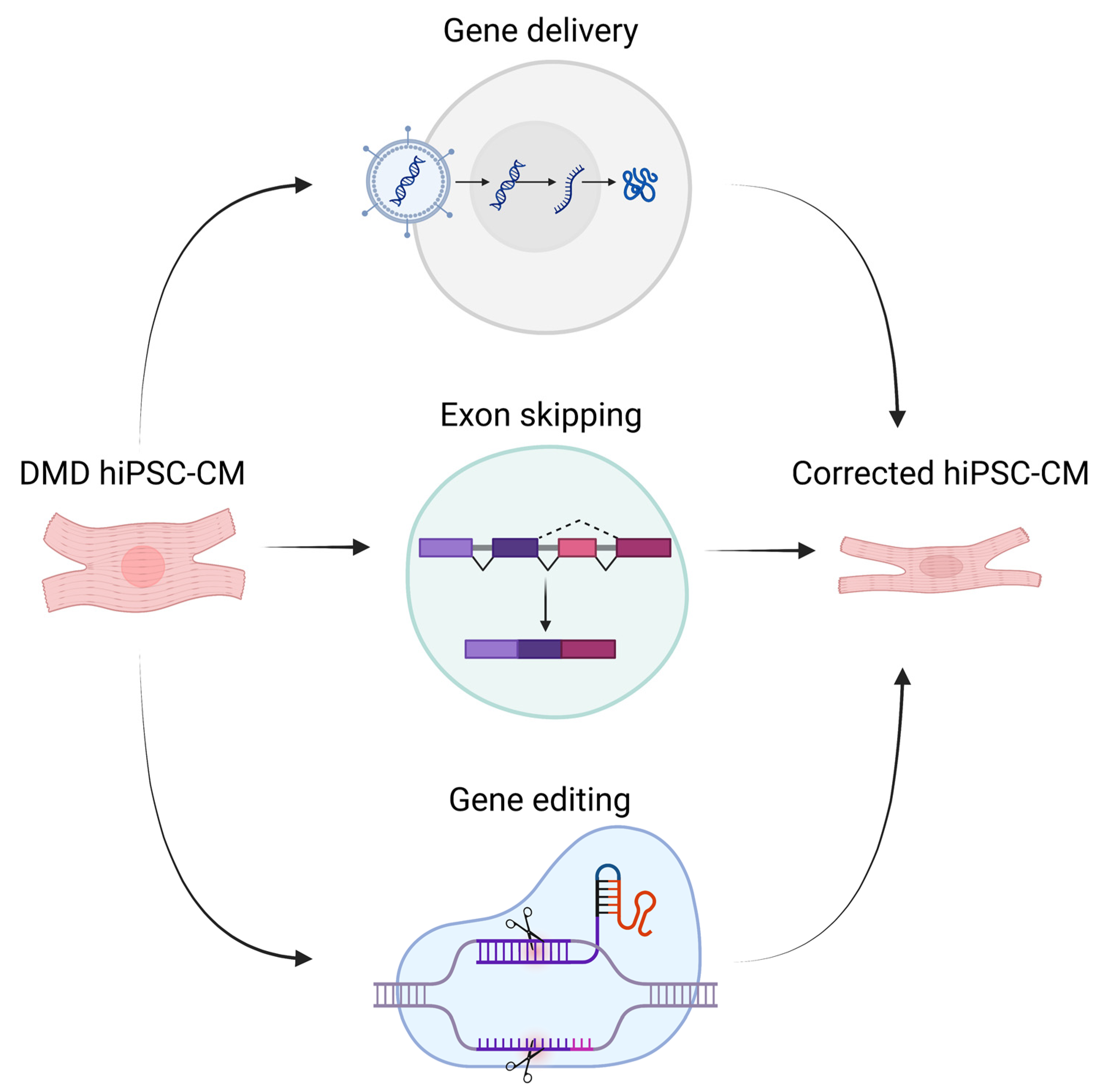 Ijms 24 08657 g002 Ijms 24 08657 g002