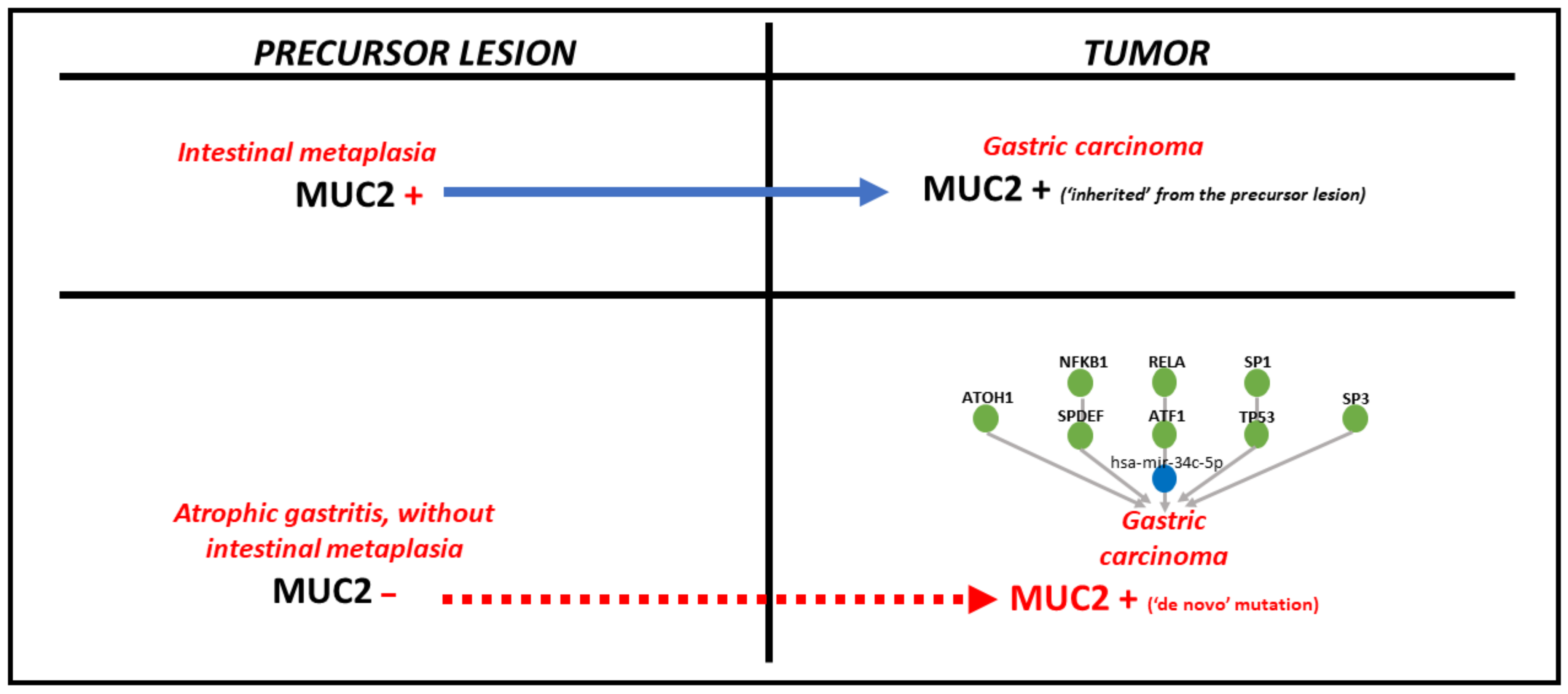 Ijms 24 08697 g005 Ijms 24 08697 g005