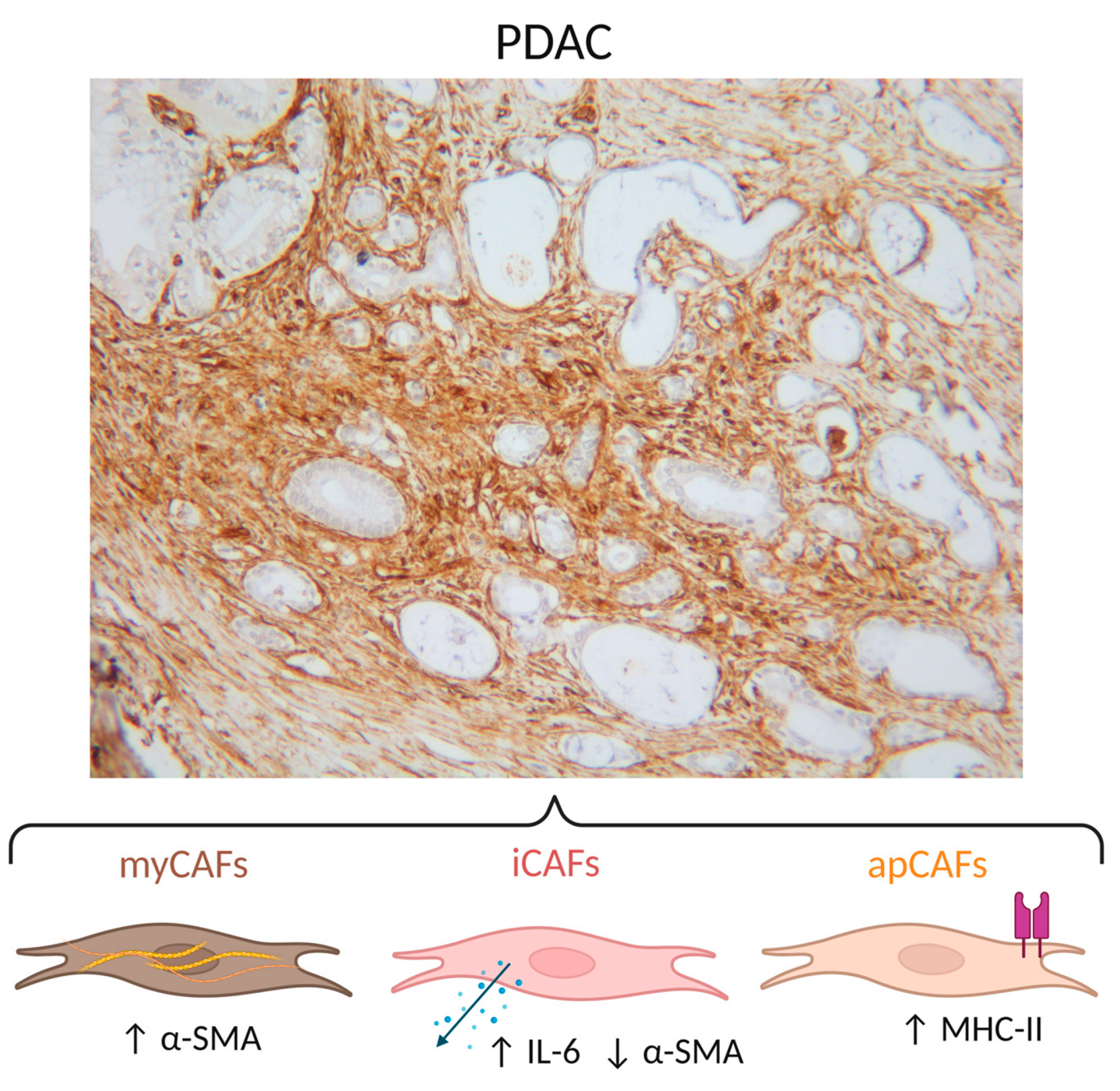Ijms 24 08707 g001