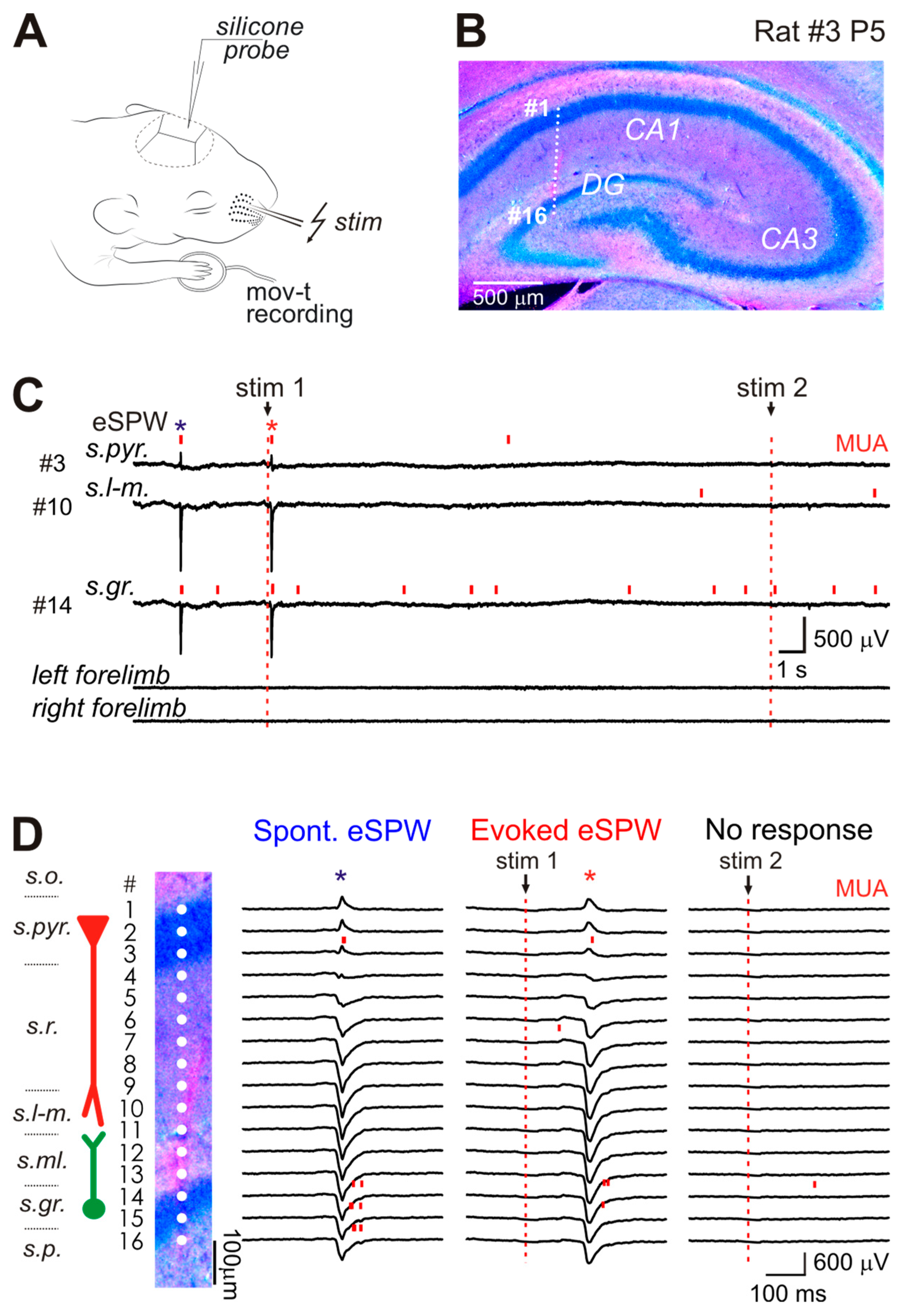 Ijms 24 08721 g001 Ijms 24 08721 g001