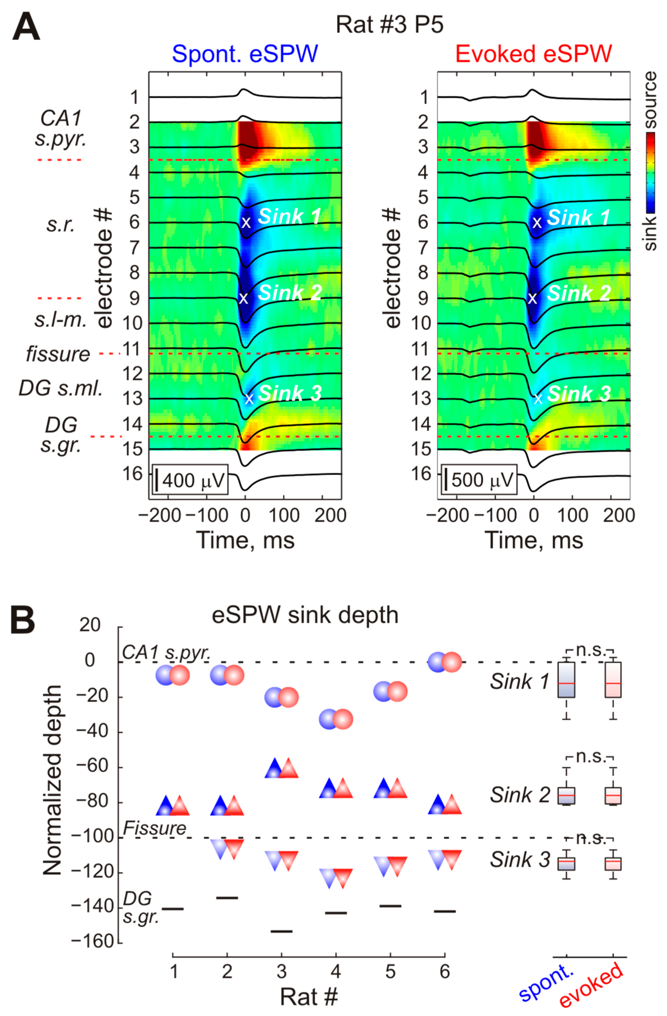 Ijms 24 08721 g003 Ijms 24 08721 g003