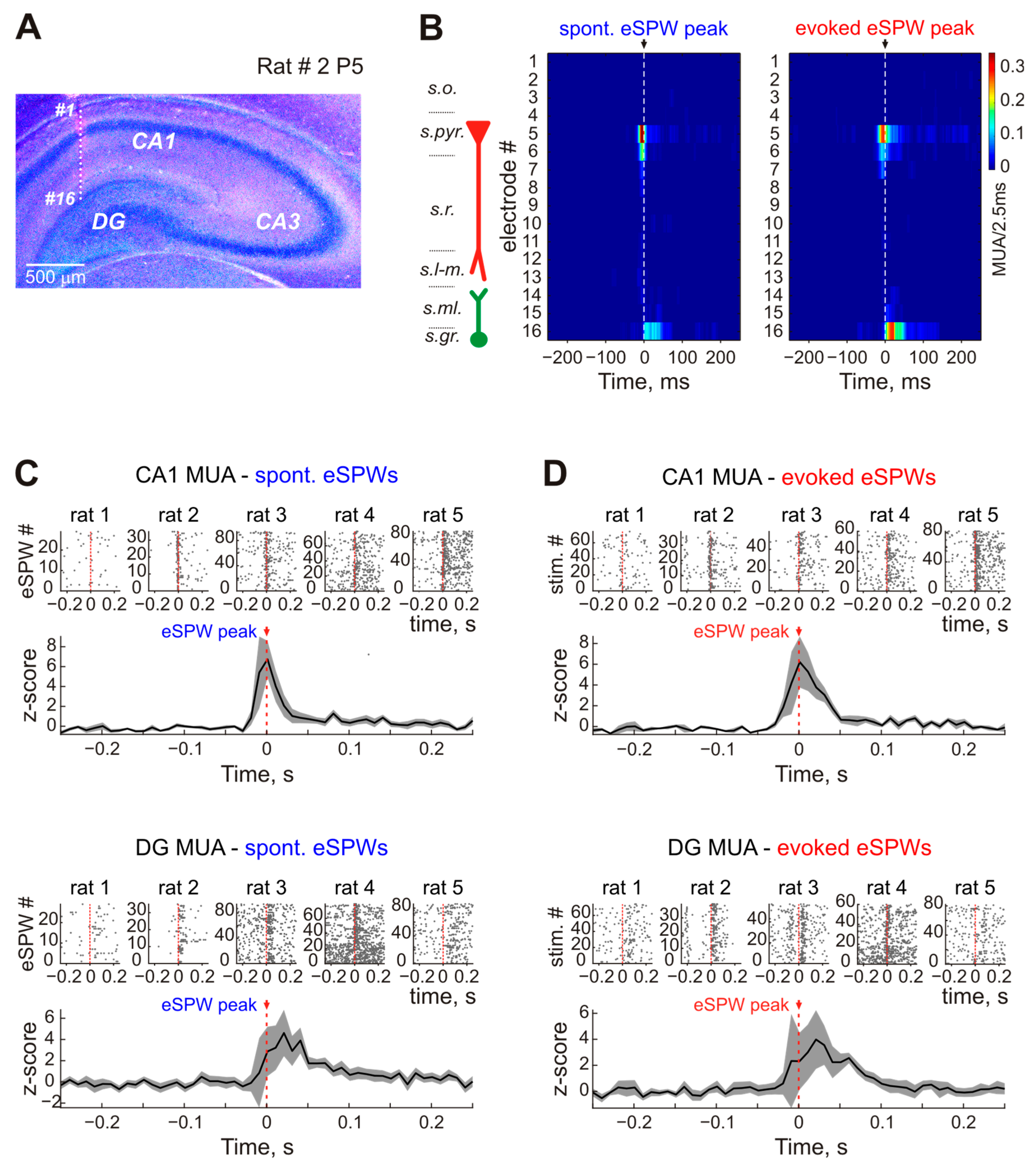 Ijms 24 08721 g006 Ijms 24 08721 g006