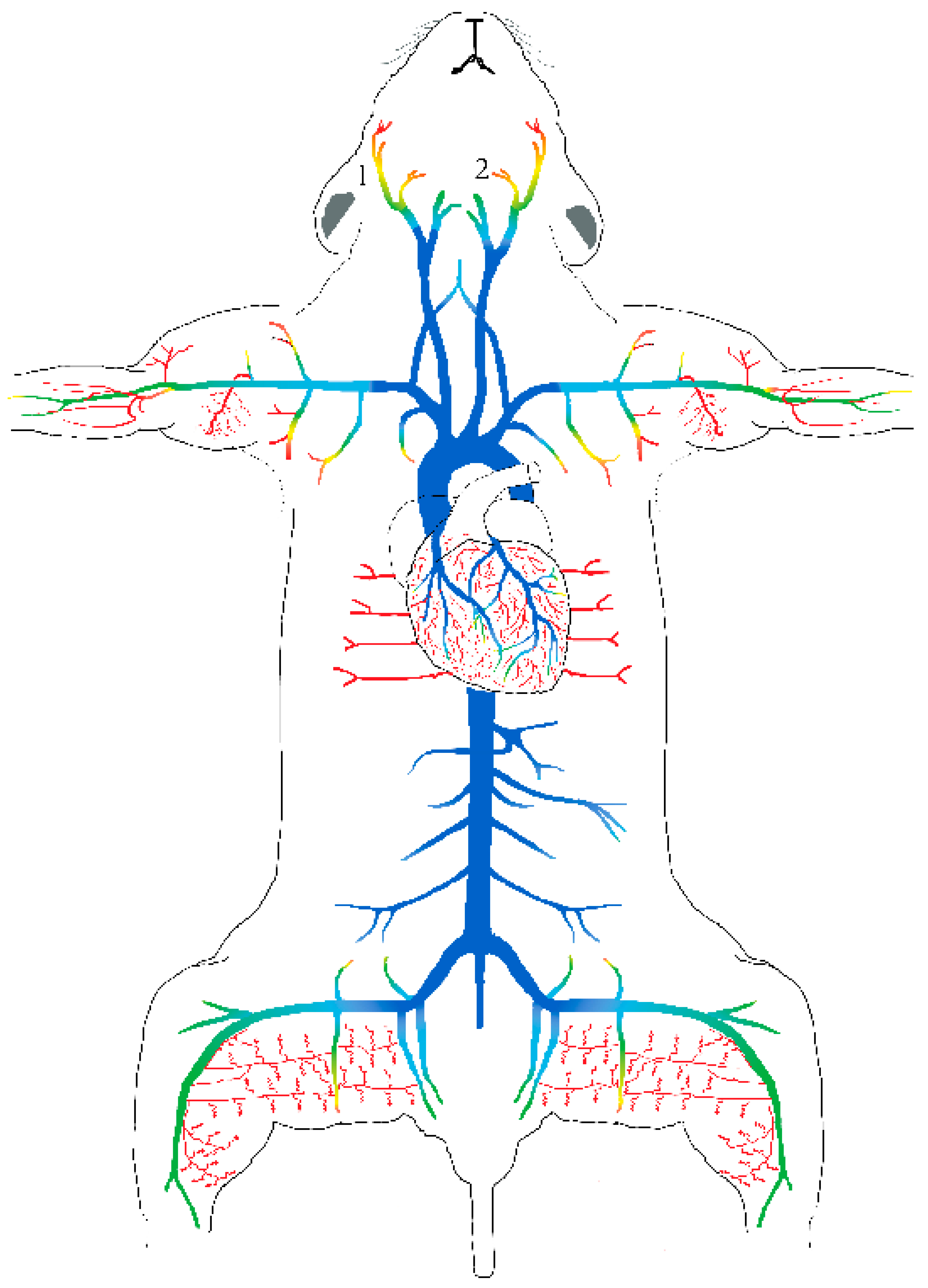Ijms 24 08769 g001 Ijms 24 08769 g001