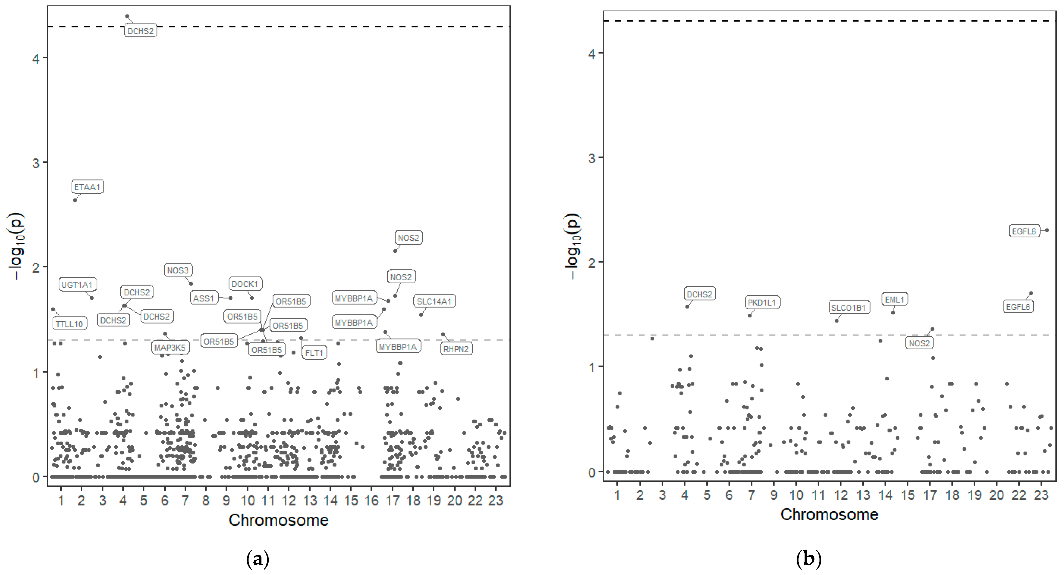 Ijms 24 08792 g001 Ijms 24 08792 g001