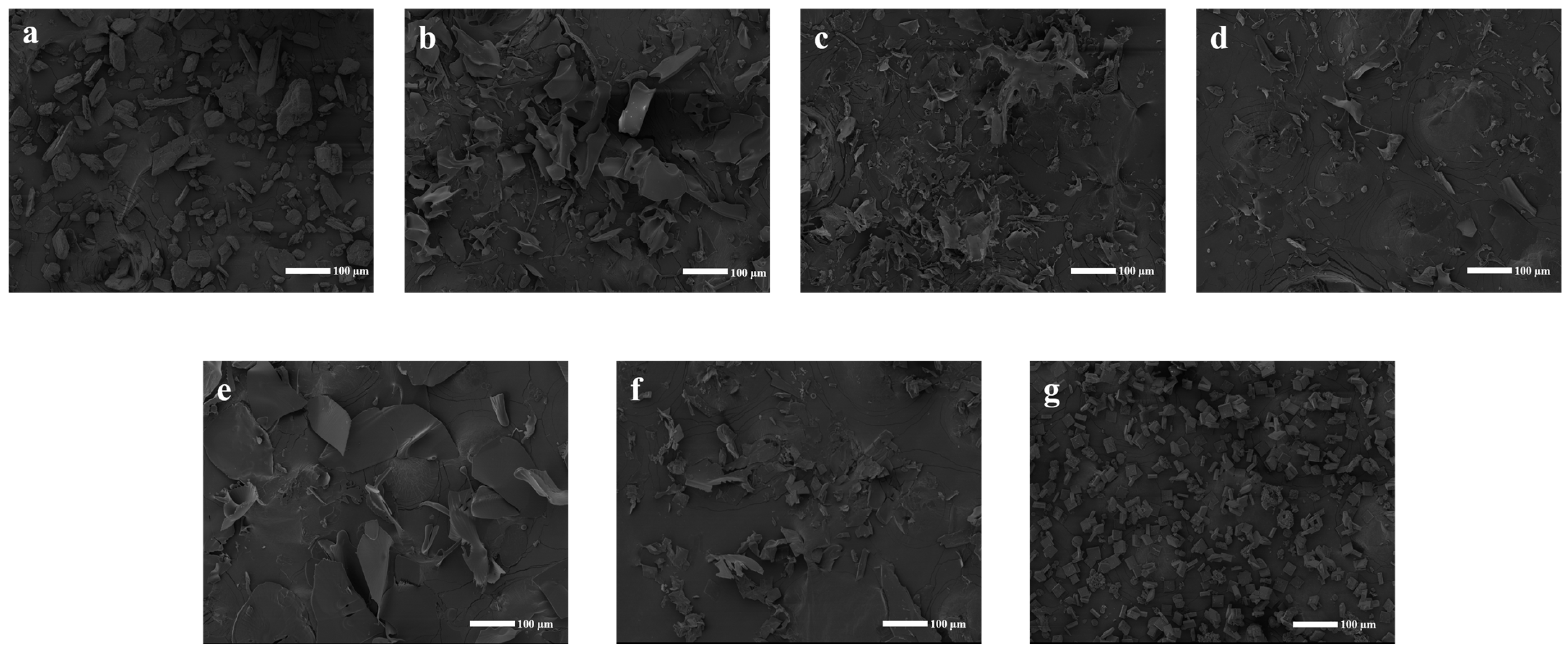 Ijms 24 08808 g006 Ijms 24 08808 g006