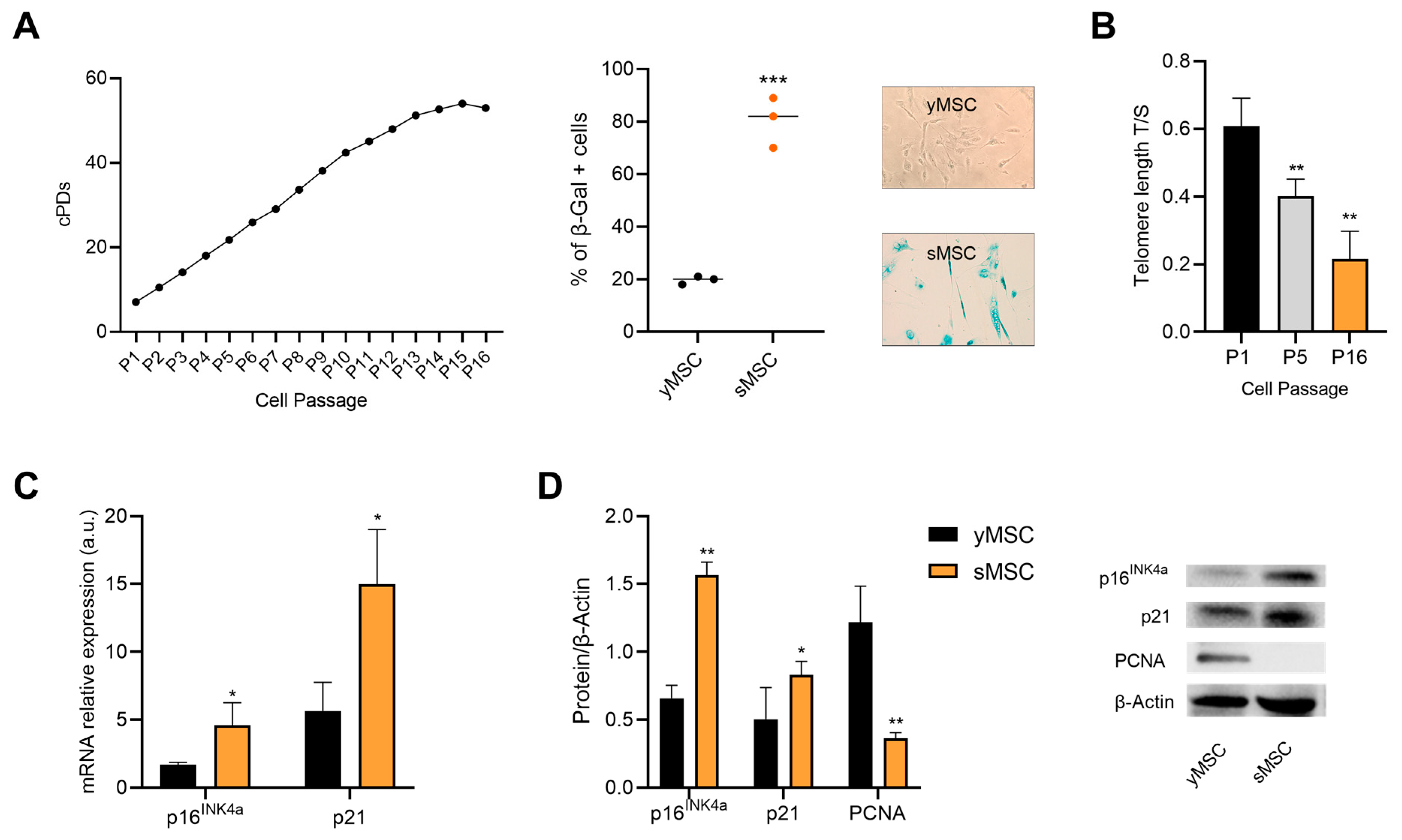 Ijms 24 08820 g001 Ijms 24 08820 g001