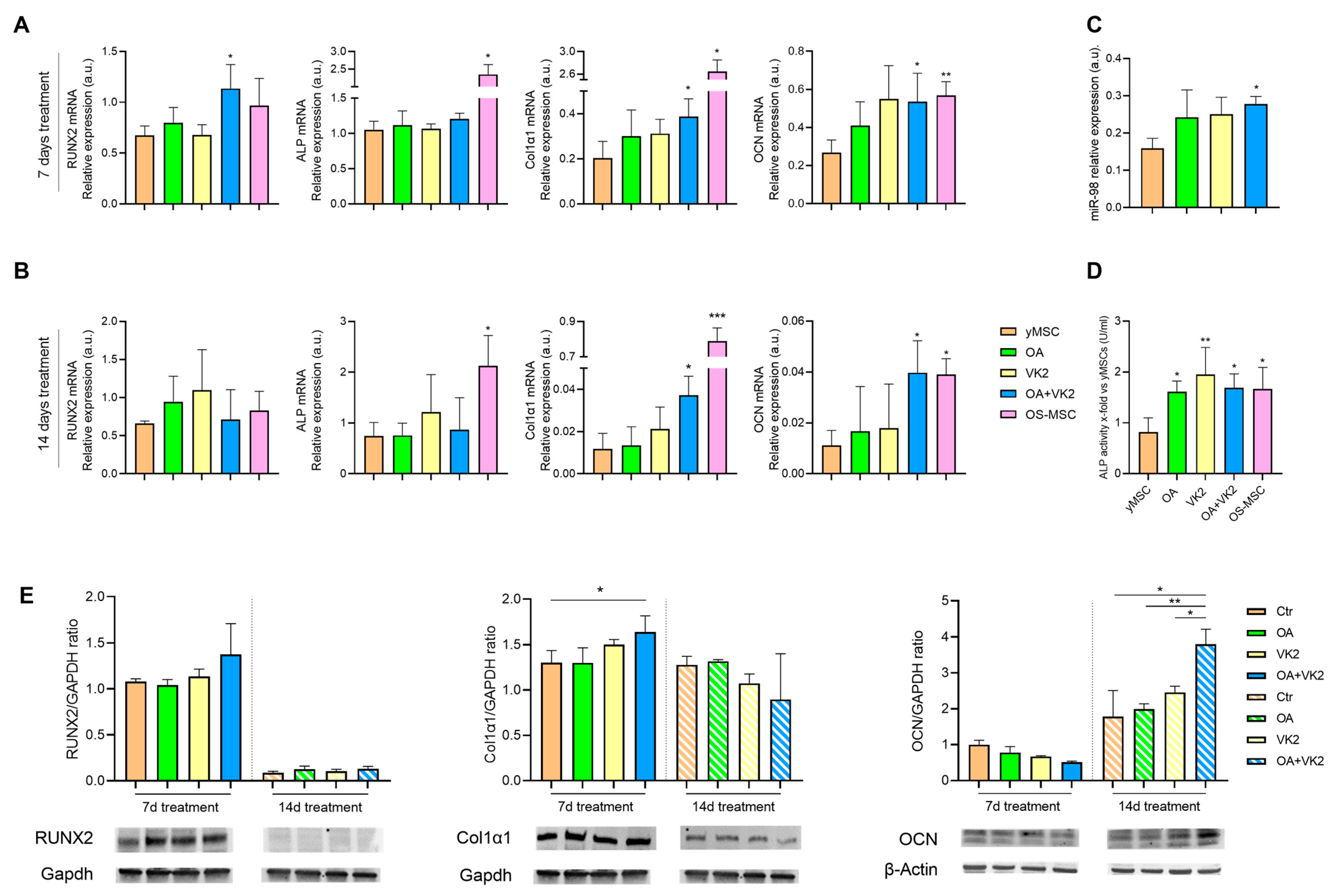 Ijms 24 08820 g003 Ijms 24 08820 g003