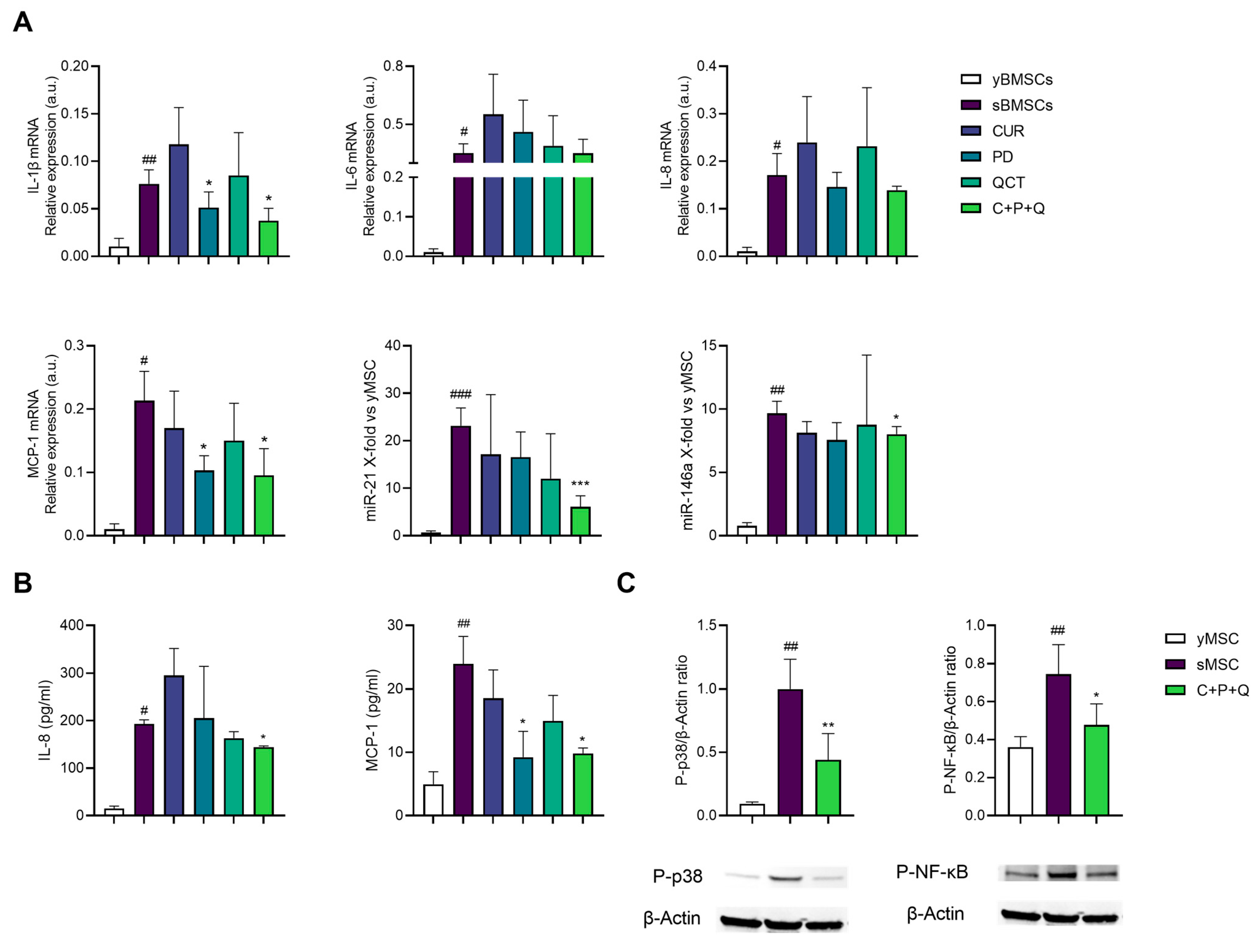 Ijms 24 08820 g004 Ijms 24 08820 g004