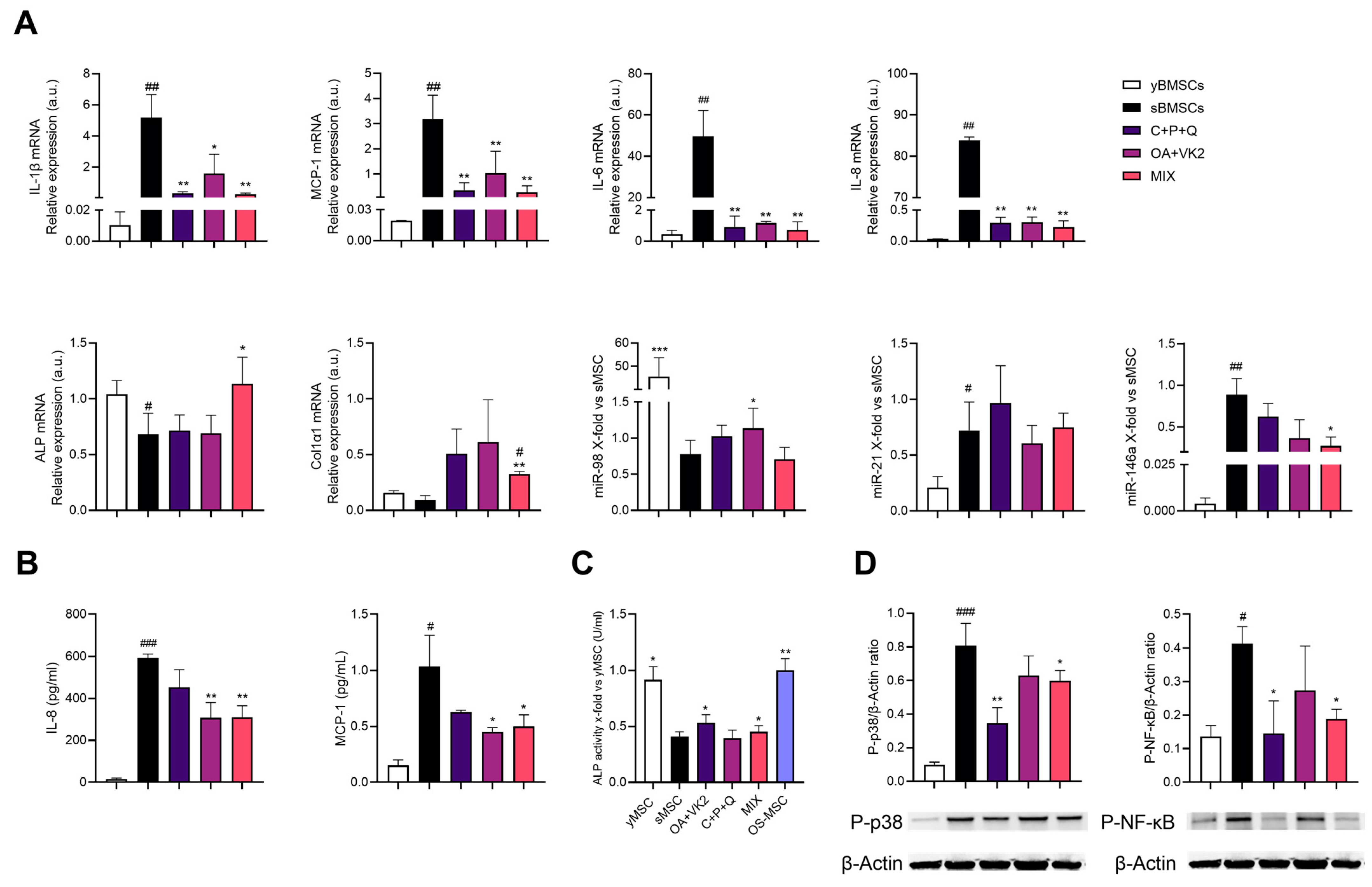 Ijms 24 08820 g005 Ijms 24 08820 g005