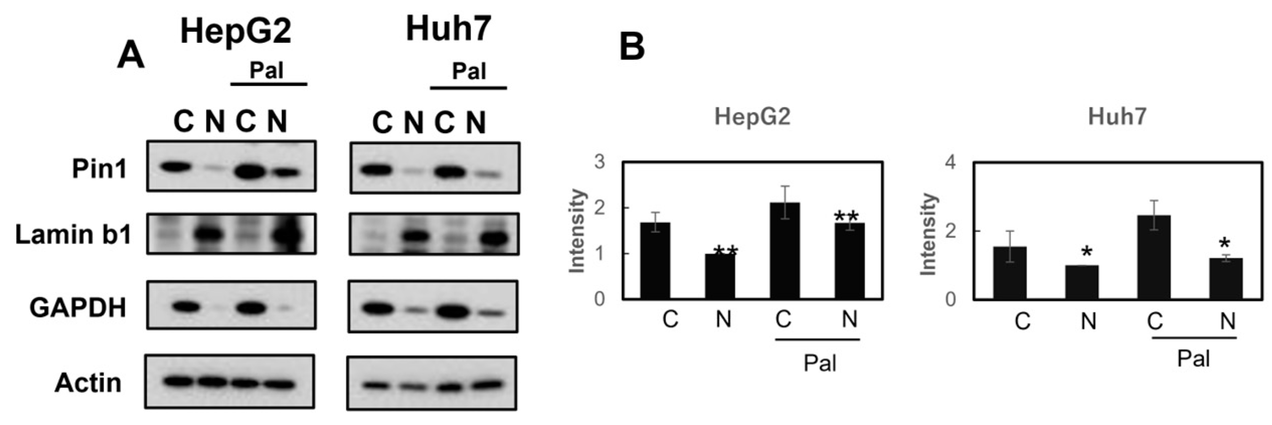 Ijms 24 08847 g005 Ijms 24 08847 g005