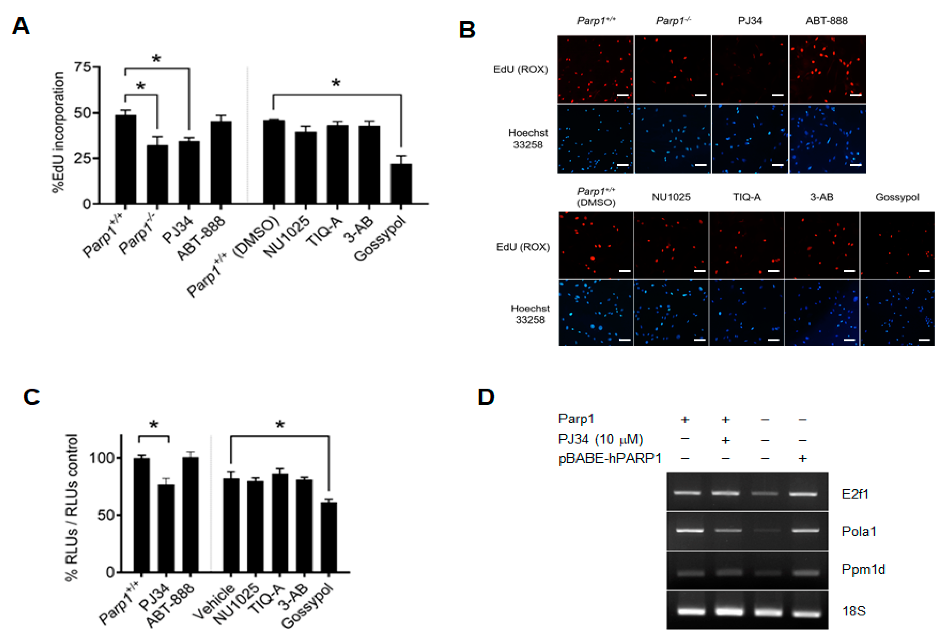 Ijms 24 08849 g002 Ijms 24 08849 g002