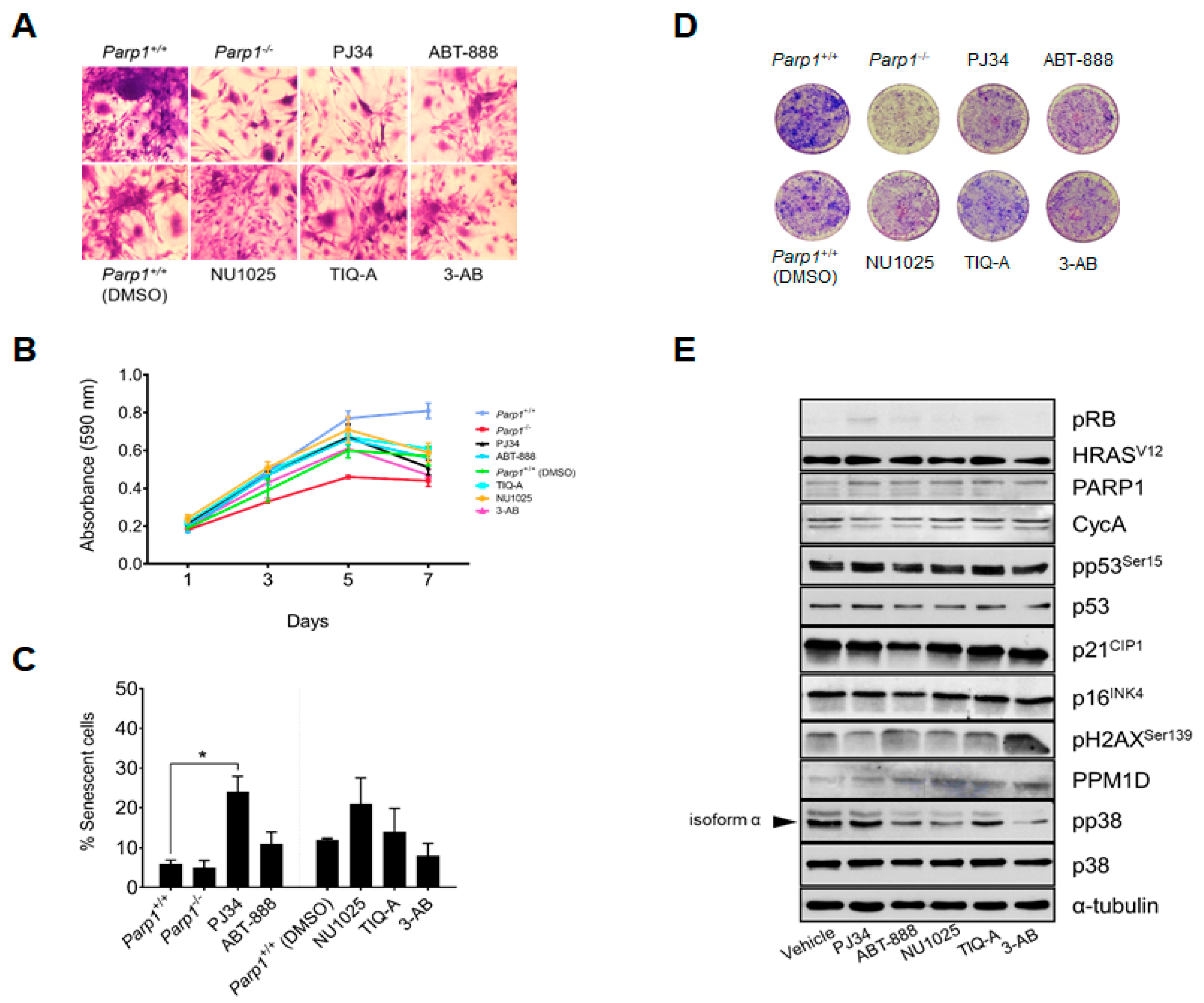 Ijms 24 08849 g003 Ijms 24 08849 g003