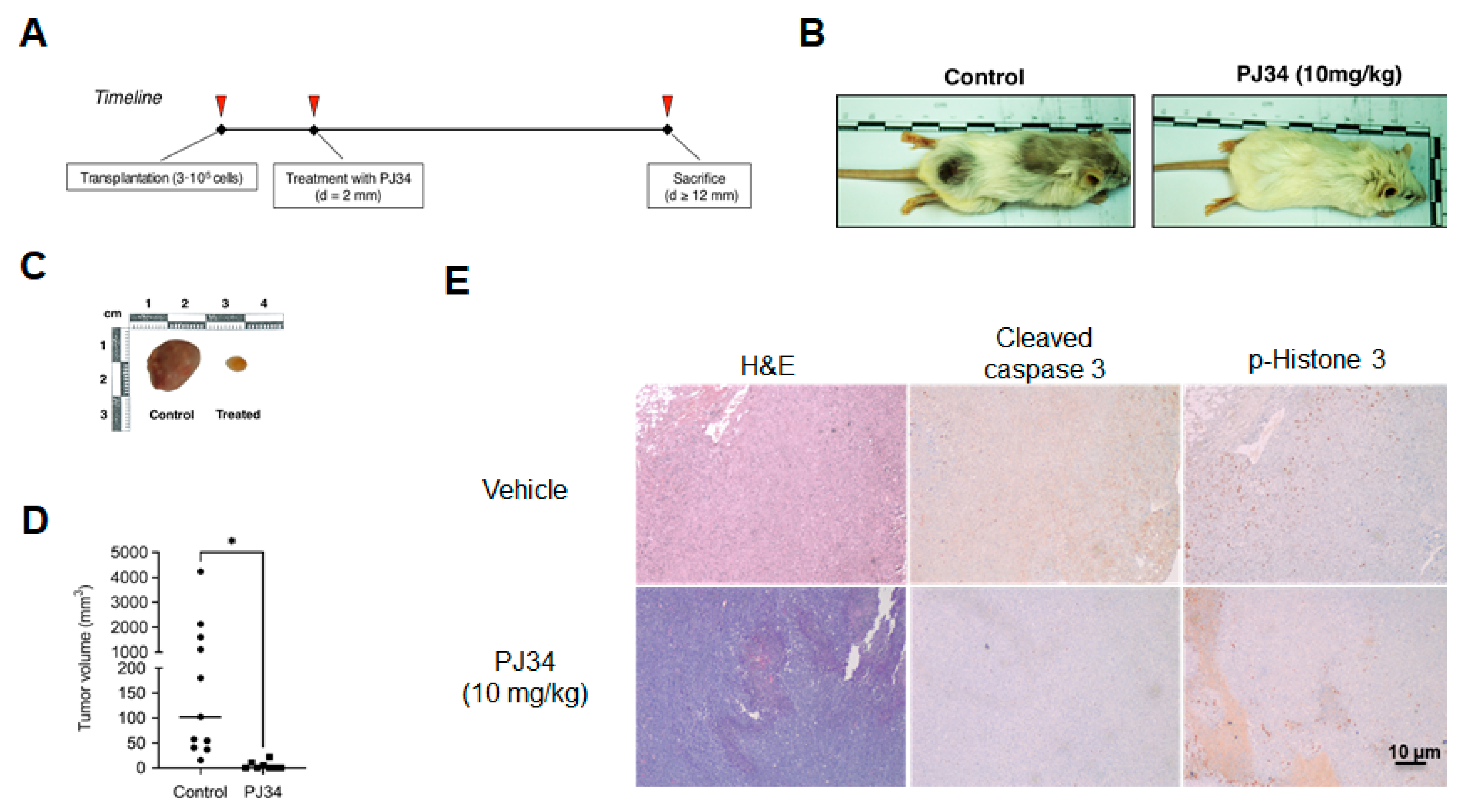 Ijms 24 08849 g005 Ijms 24 08849 g005