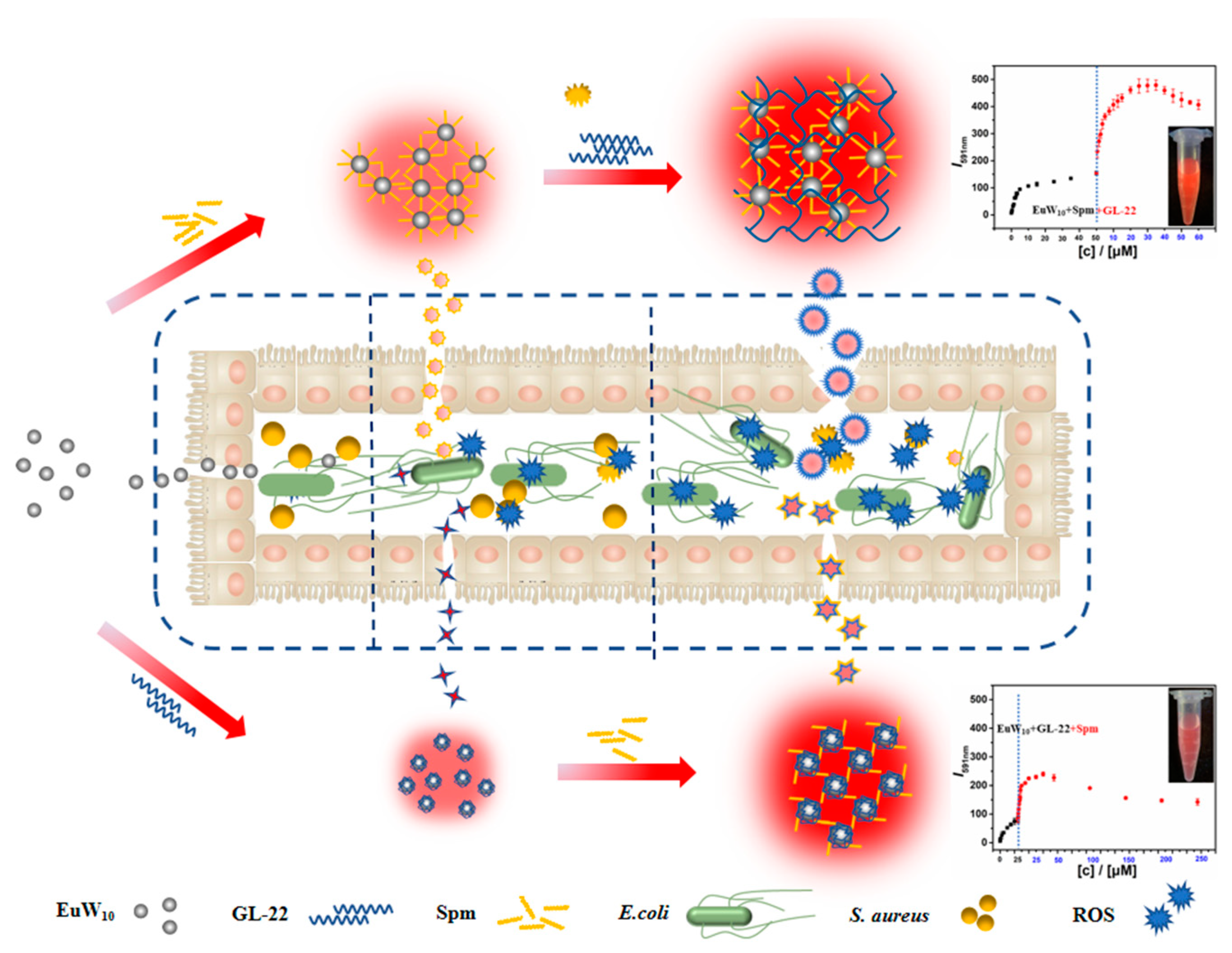 Ijms 24 08858 sch001