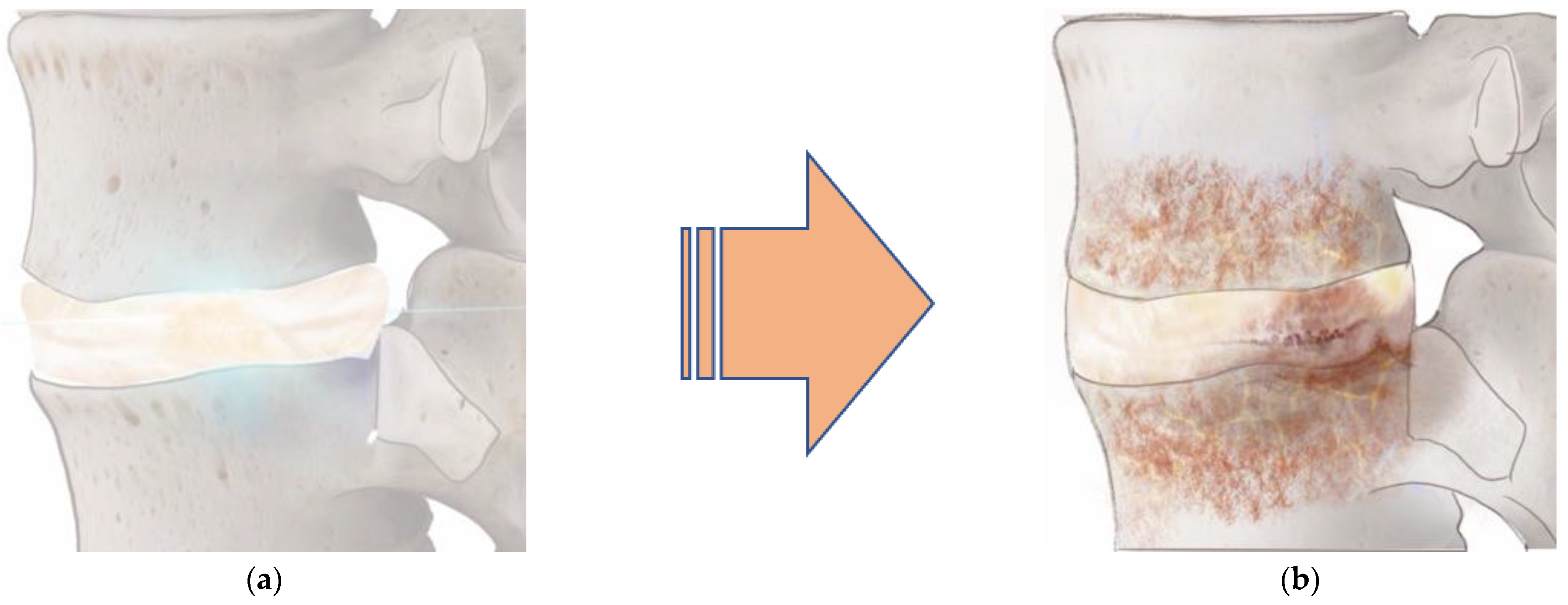 Ijms 24 08893 g002 Ijms 24 08893 g002