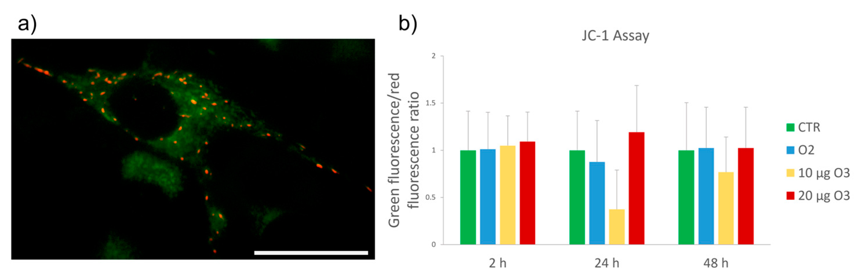 Ijms 24 08900 g004 Ijms 24 08900 g004