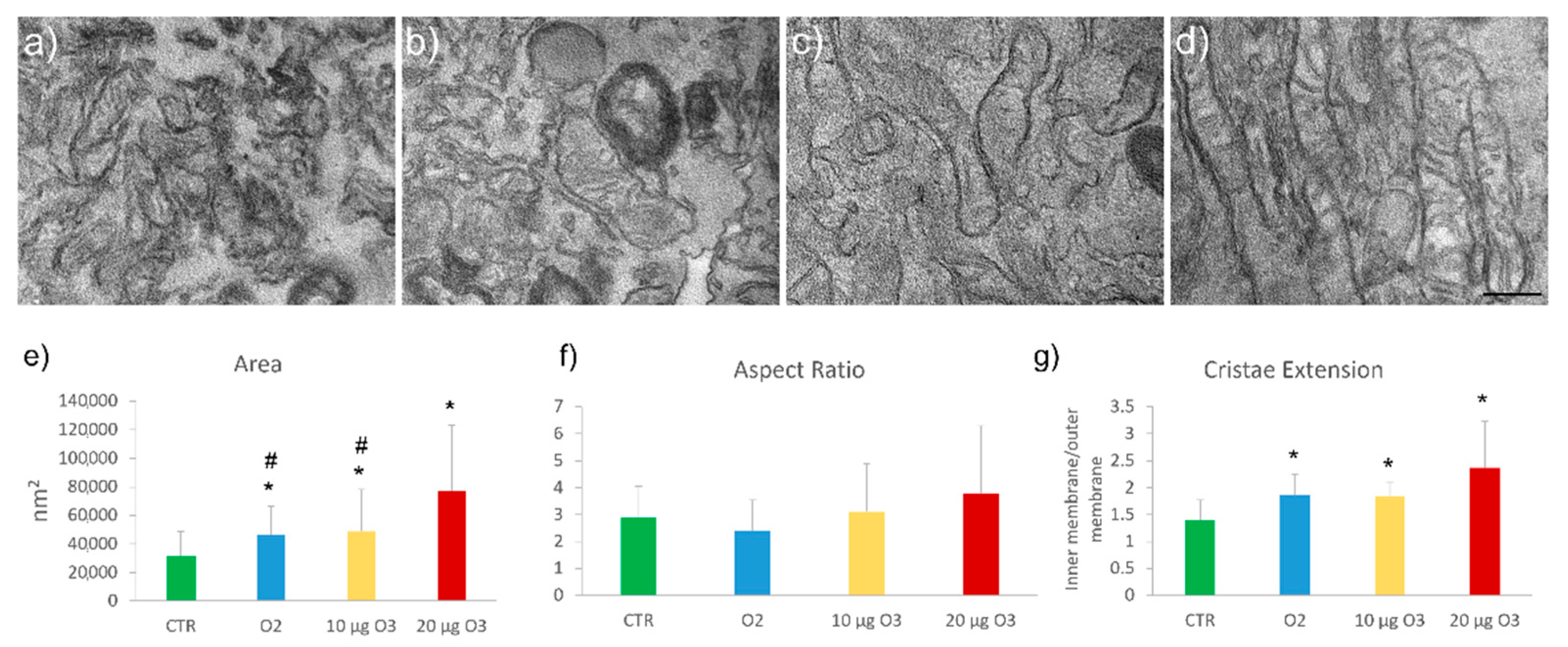 Ijms 24 08900 g005 Ijms 24 08900 g005