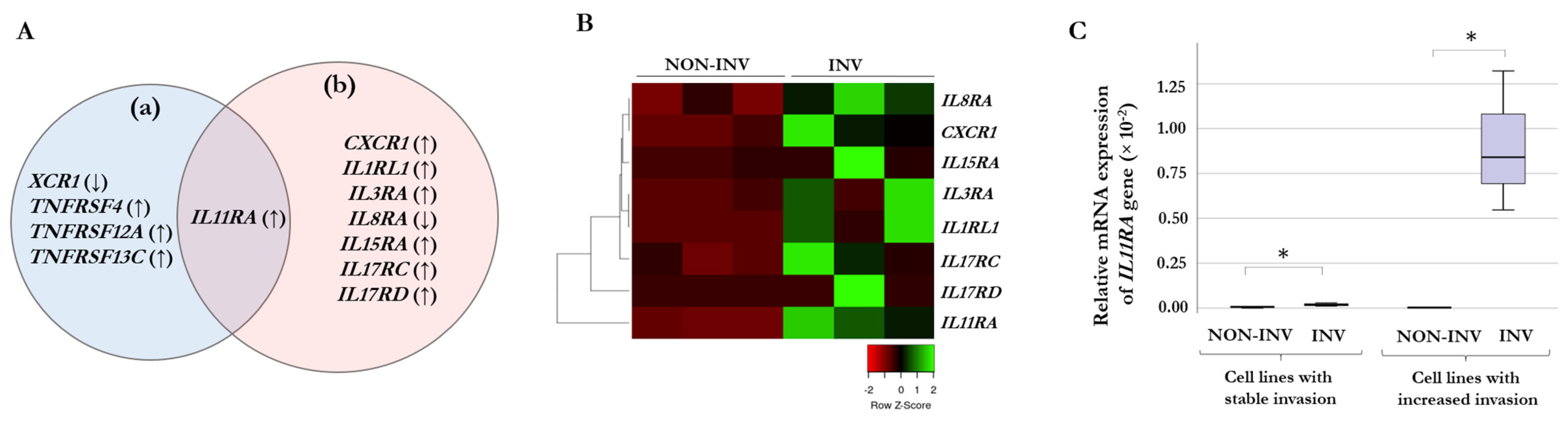 Ijms 24 08901 g002 Ijms 24 08901 g002