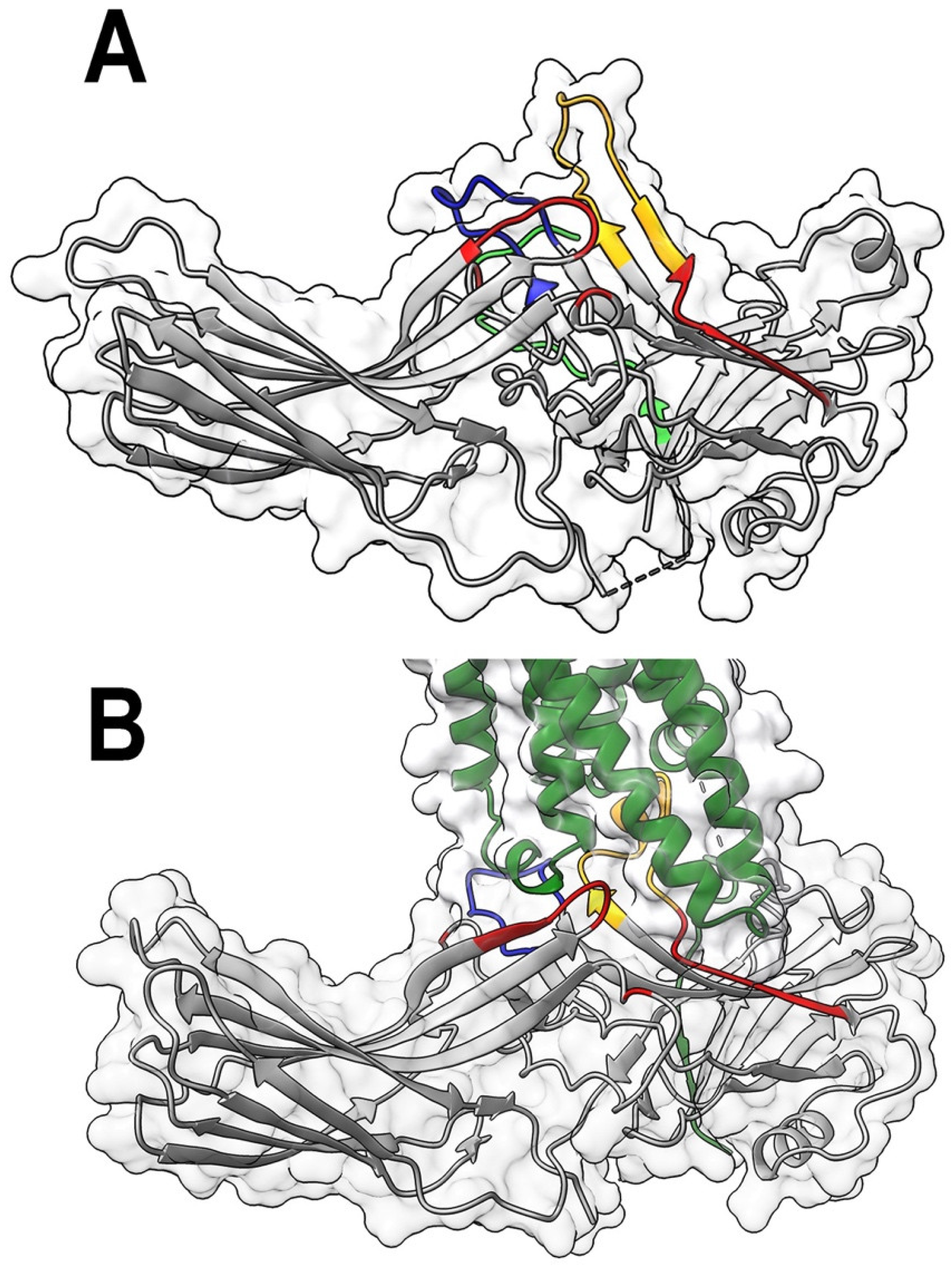 Ijms 24 08903 g001 Ijms 24 08903 g001