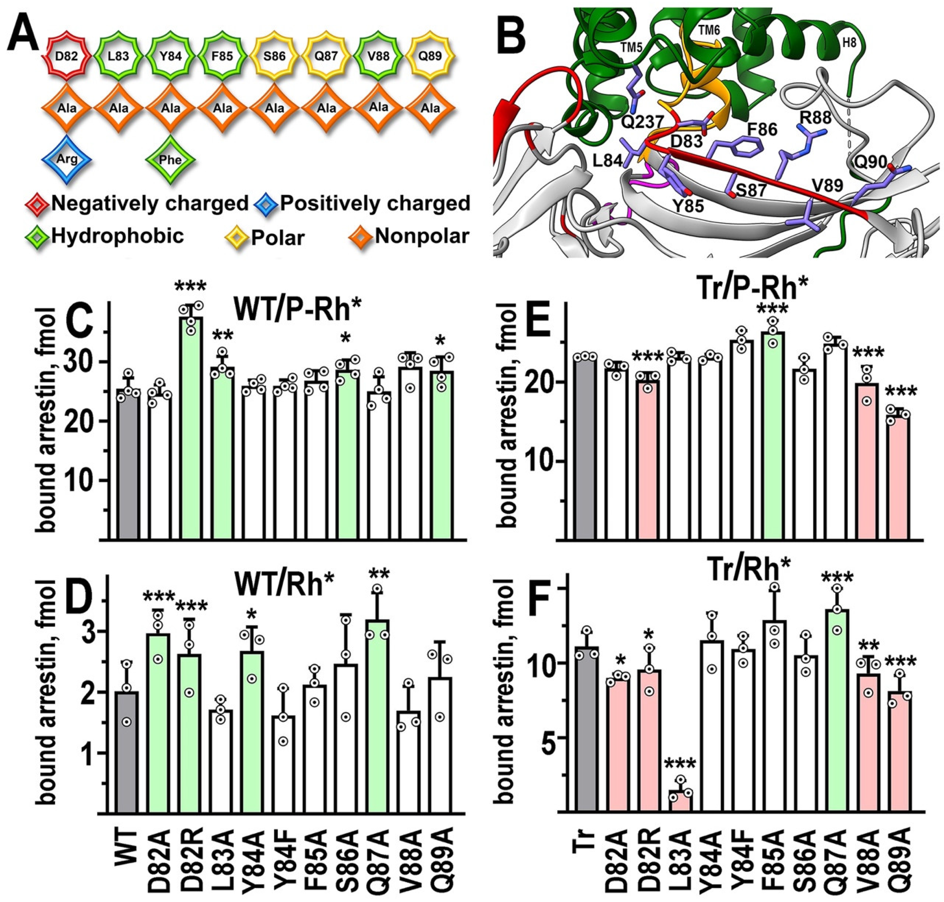 Ijms 24 08903 g002 Ijms 24 08903 g002