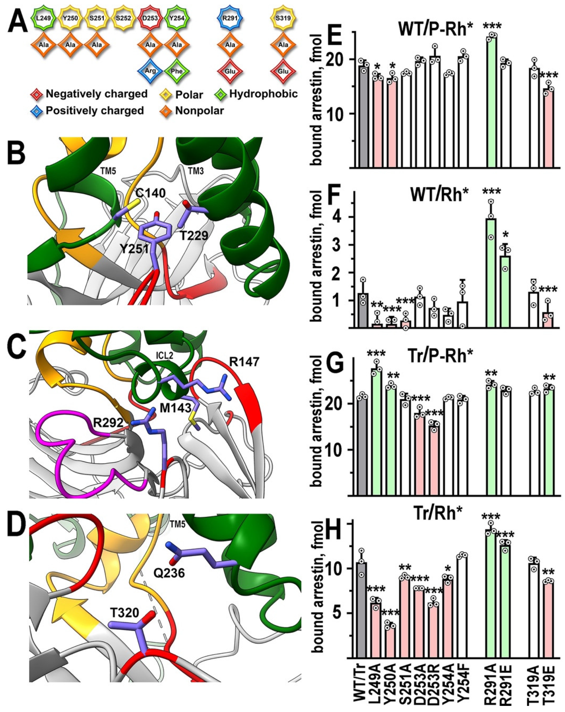 Ijms 24 08903 g003 Ijms 24 08903 g003