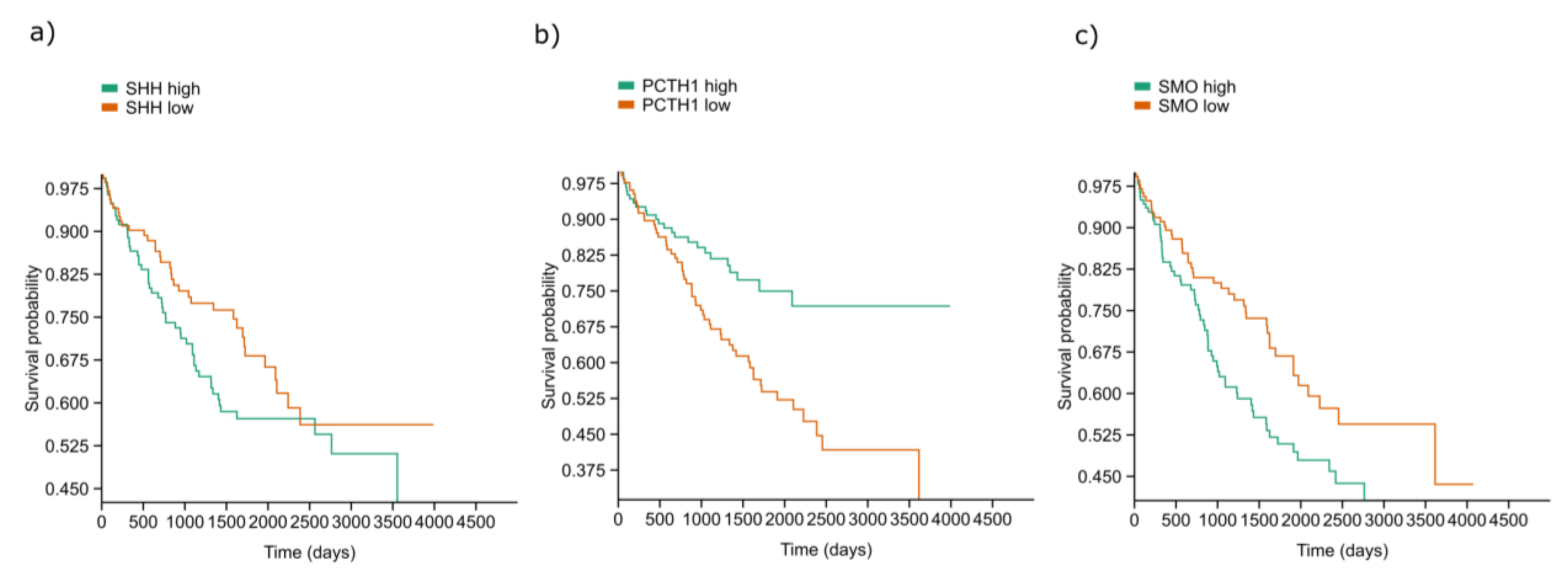 Ijms 24 08935 g007 Ijms 24 08935 g007
