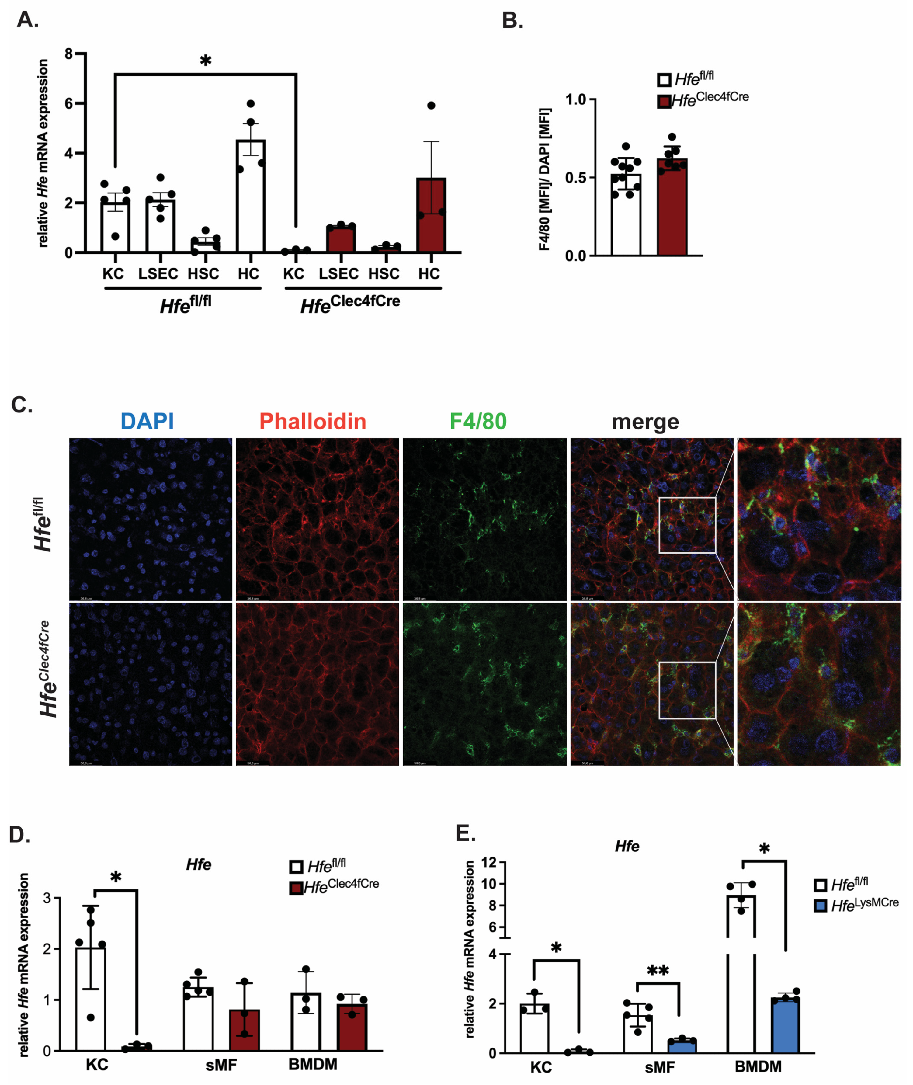 Ijms 24 08948 g001 Ijms 24 08948 g001