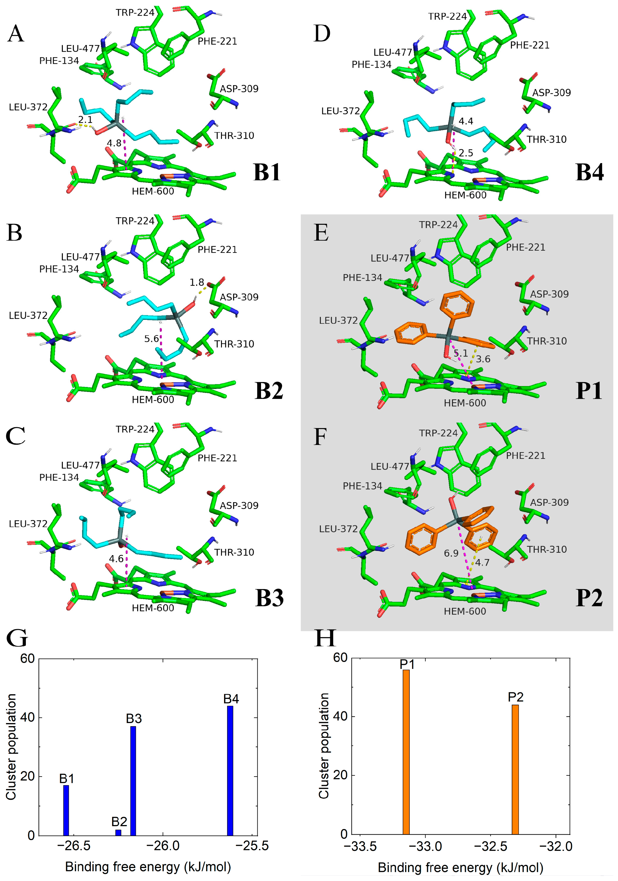 Ijms 24 08954 g001 Ijms 24 08954 g001