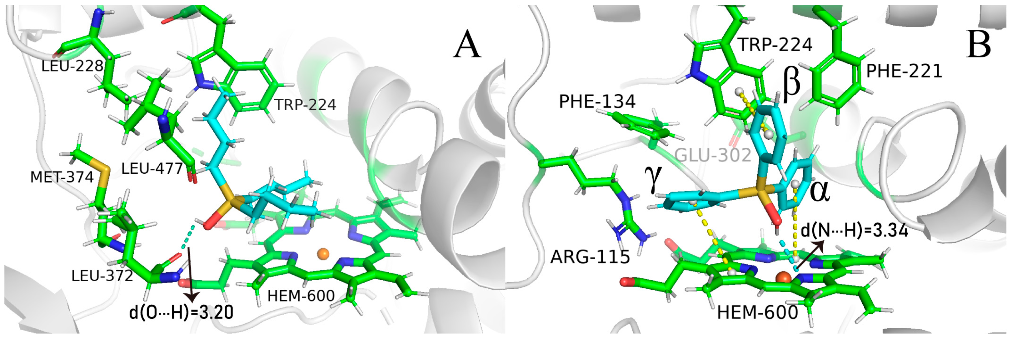 Ijms 24 08954 g002 Ijms 24 08954 g002