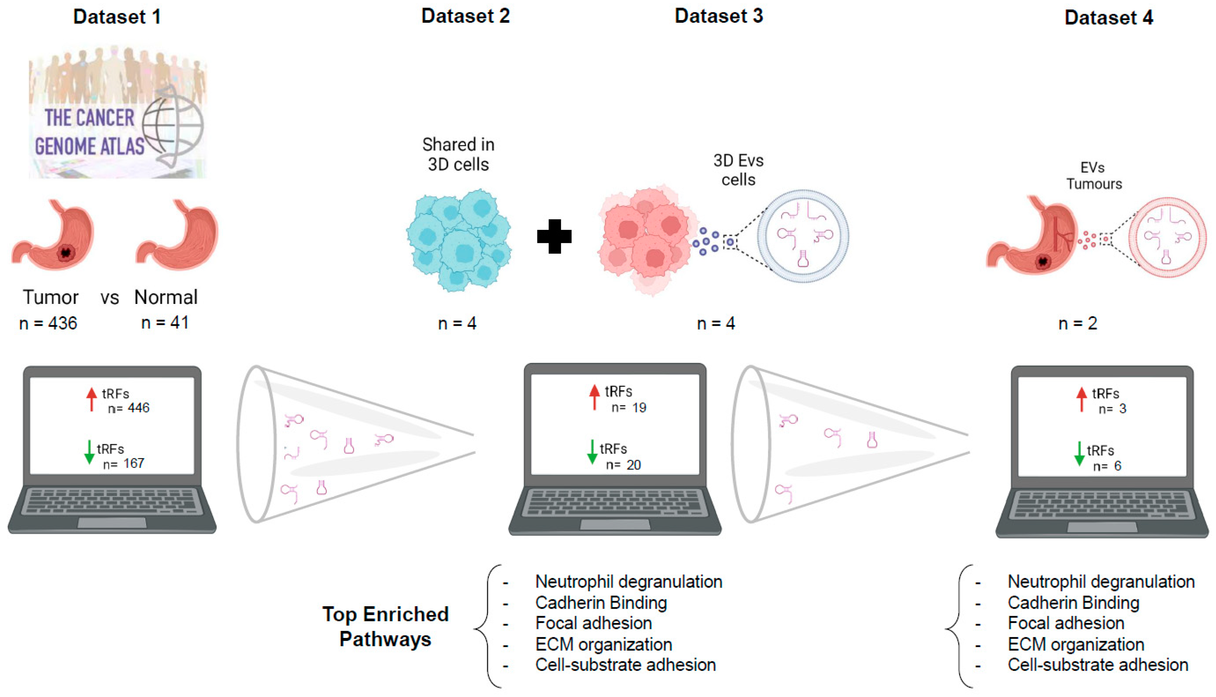 Ijms 24 08961 g006 Ijms 24 08961 g006