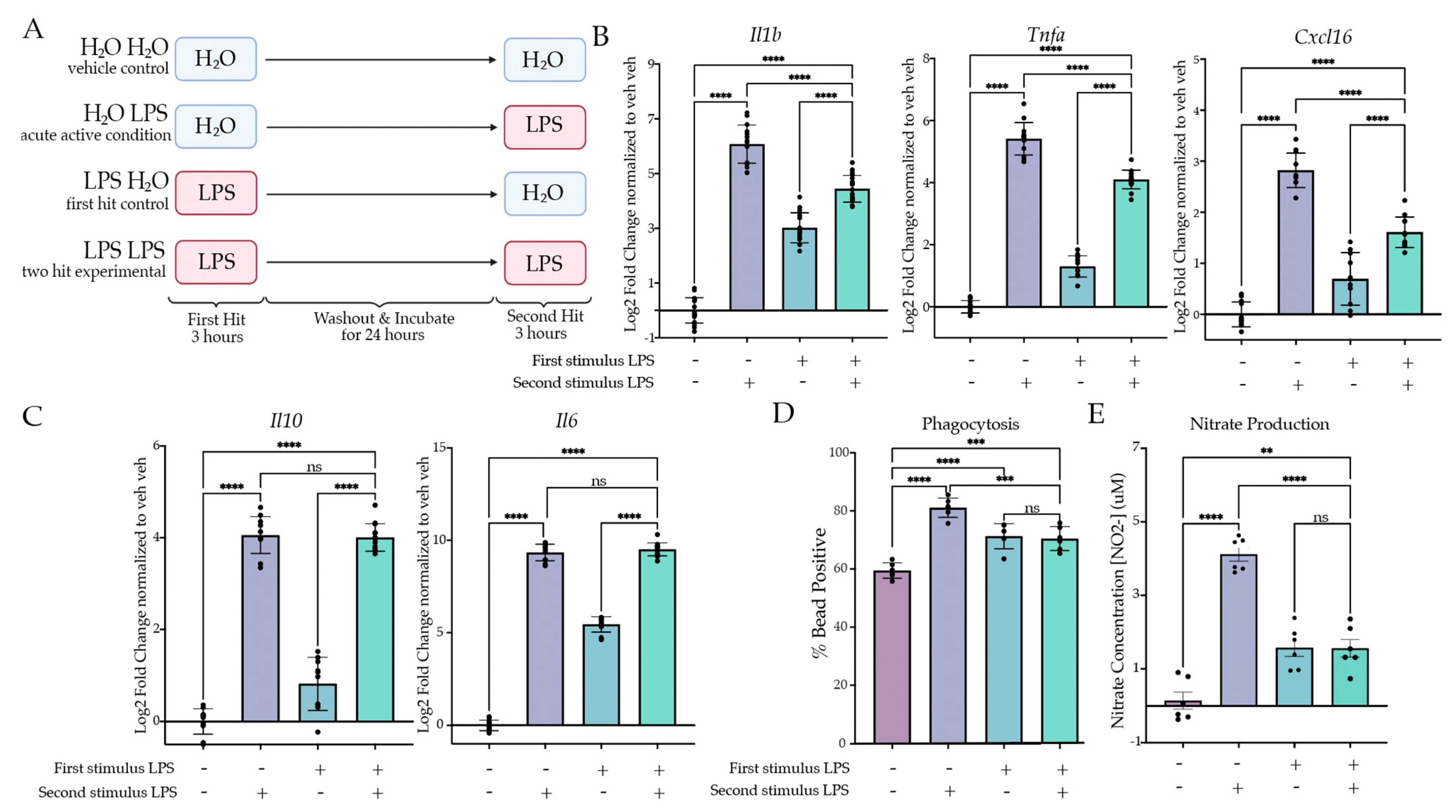 Ijms 24 08967 g001