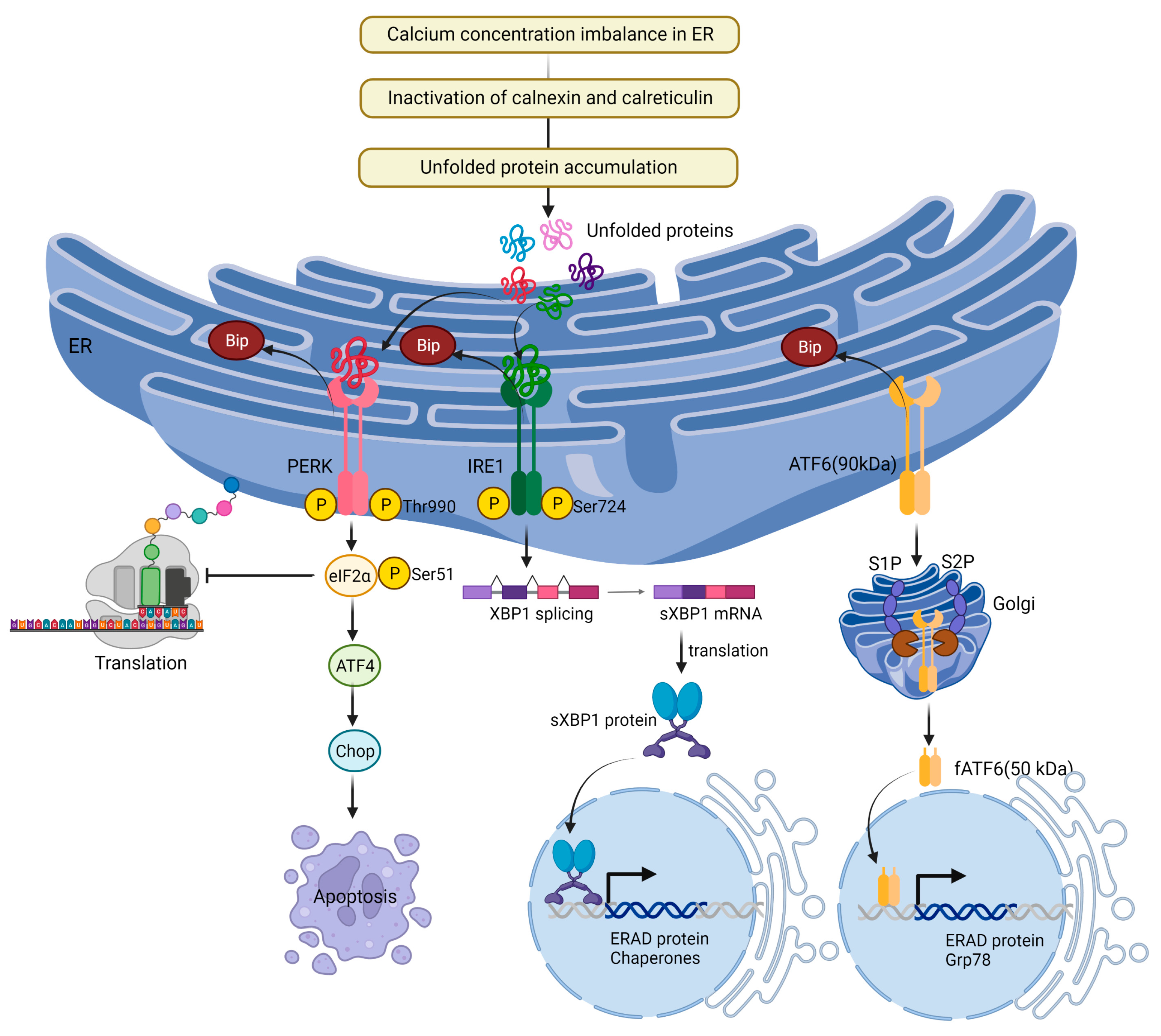 Ijms 24 08982 g005 Ijms 24 08982 g005