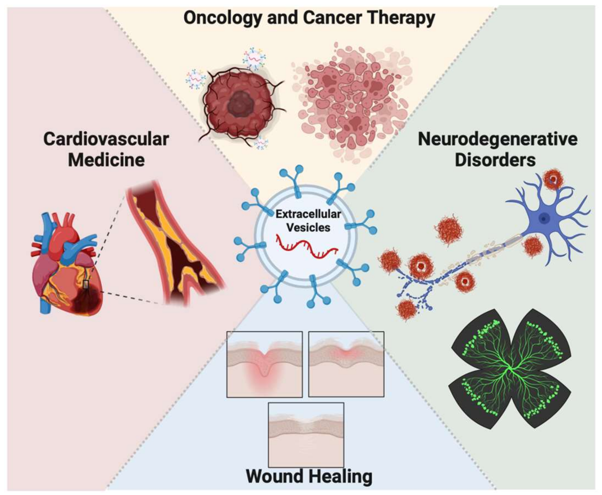 Ijms 24 09006 g003 Ijms 24 09006 g003