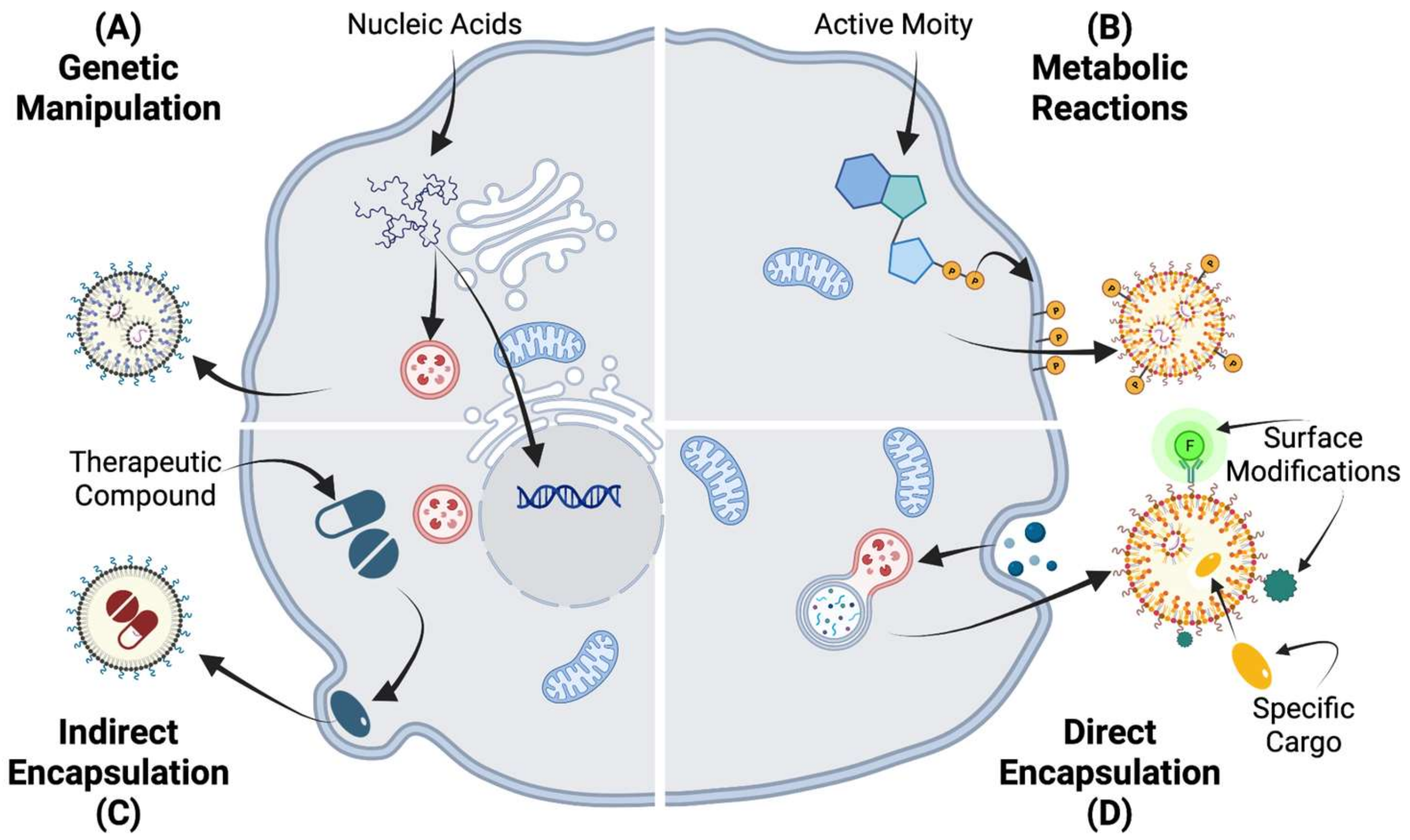 Ijms 24 09006 g004 Ijms 24 09006 g004