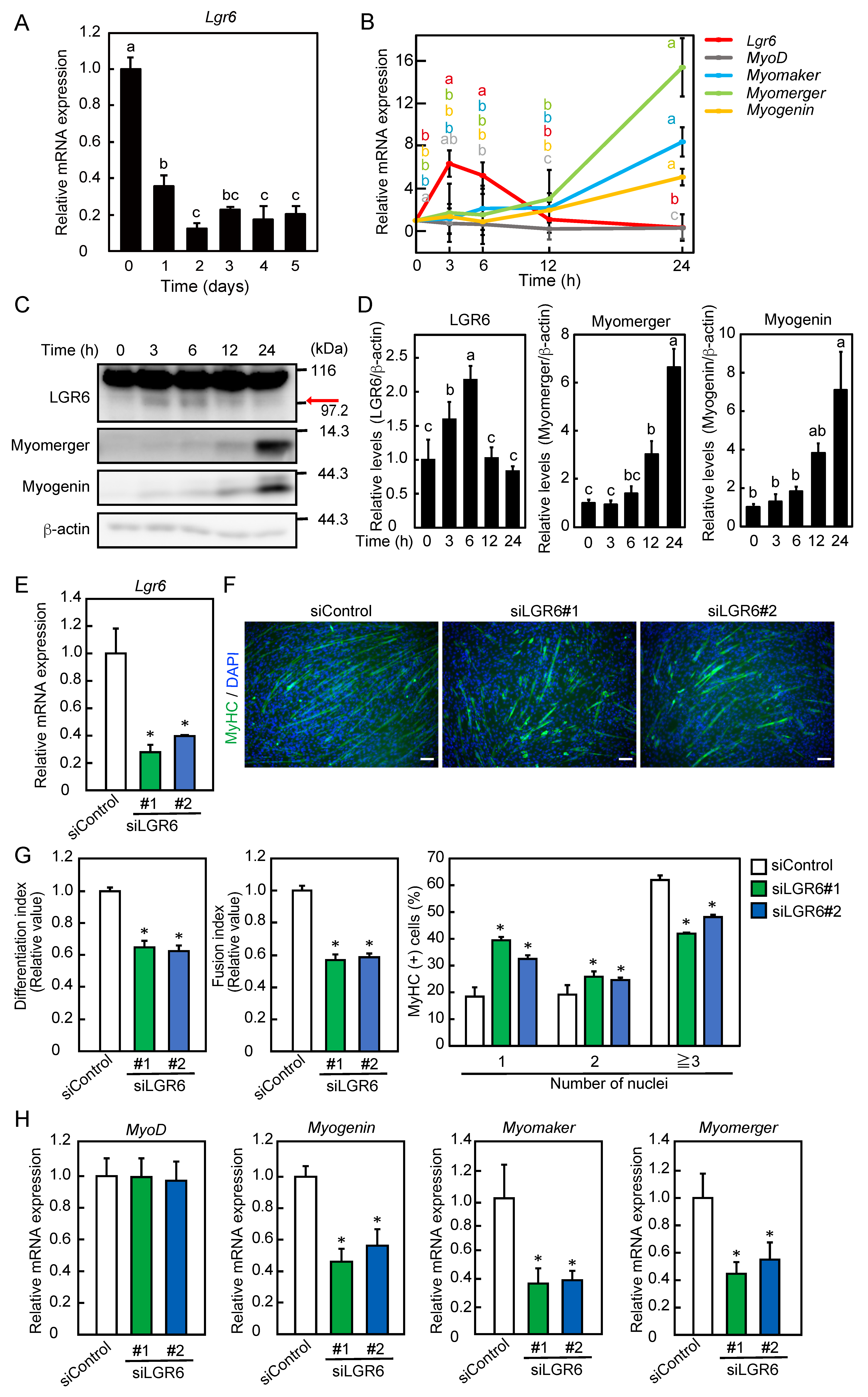 Ijms 24 09035 g001 Ijms 24 09035 g001